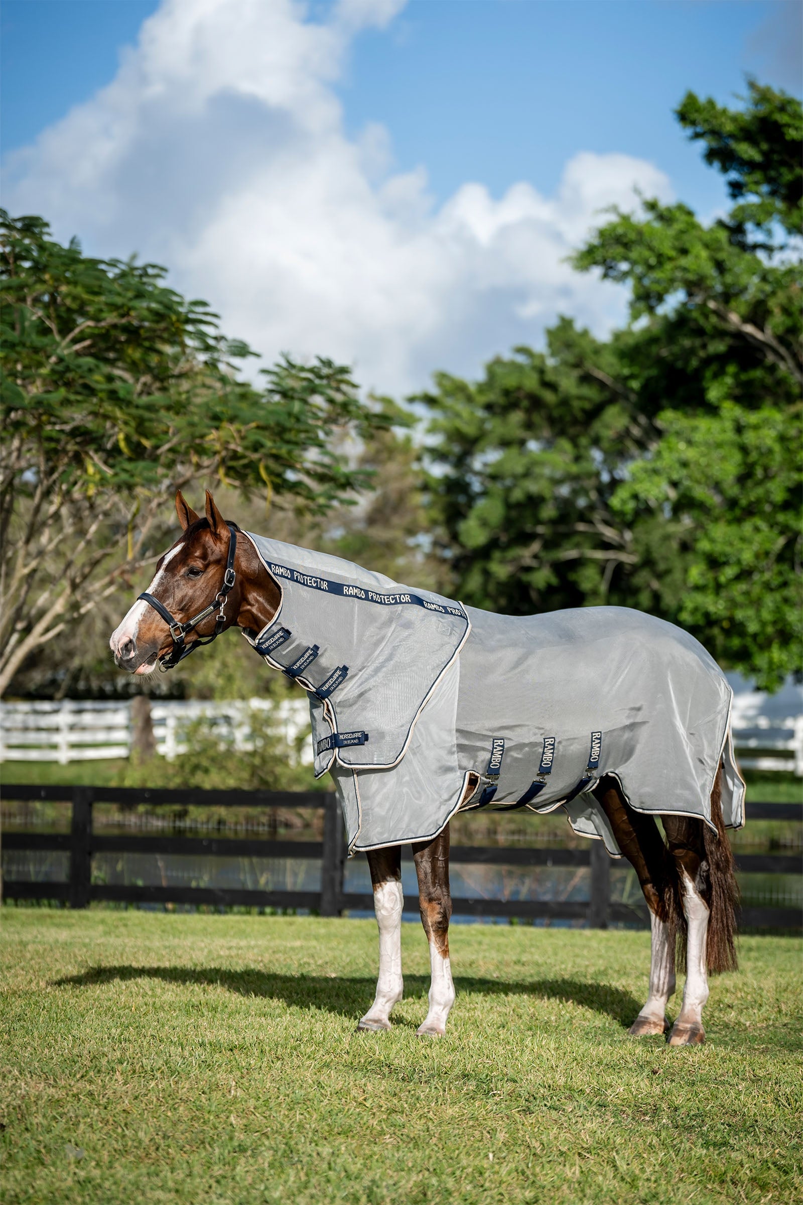 Horseware Rambo Protector Fieldsafe Plus výběhová deka Horse Rugs