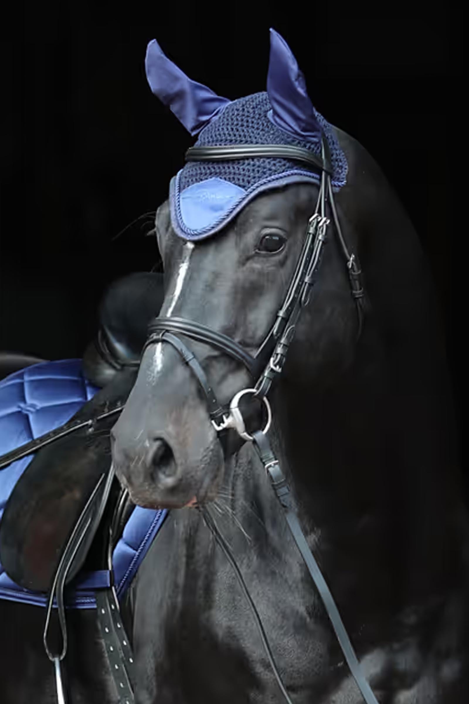 Covalliero Empara Fly Mask Antifly Protection for Horses