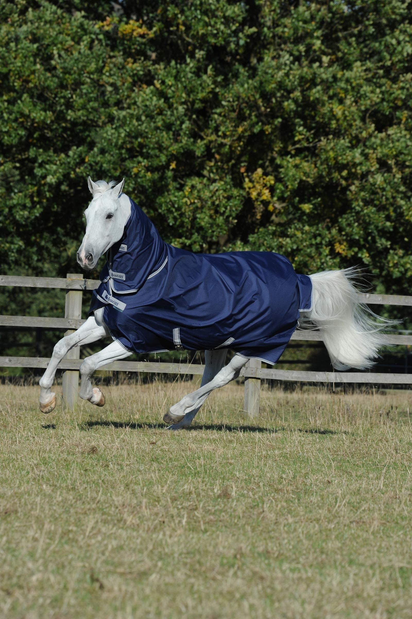 Bucas Freedom lehká výběhová deka s pevným plným krkem, 0g Horse Rugs