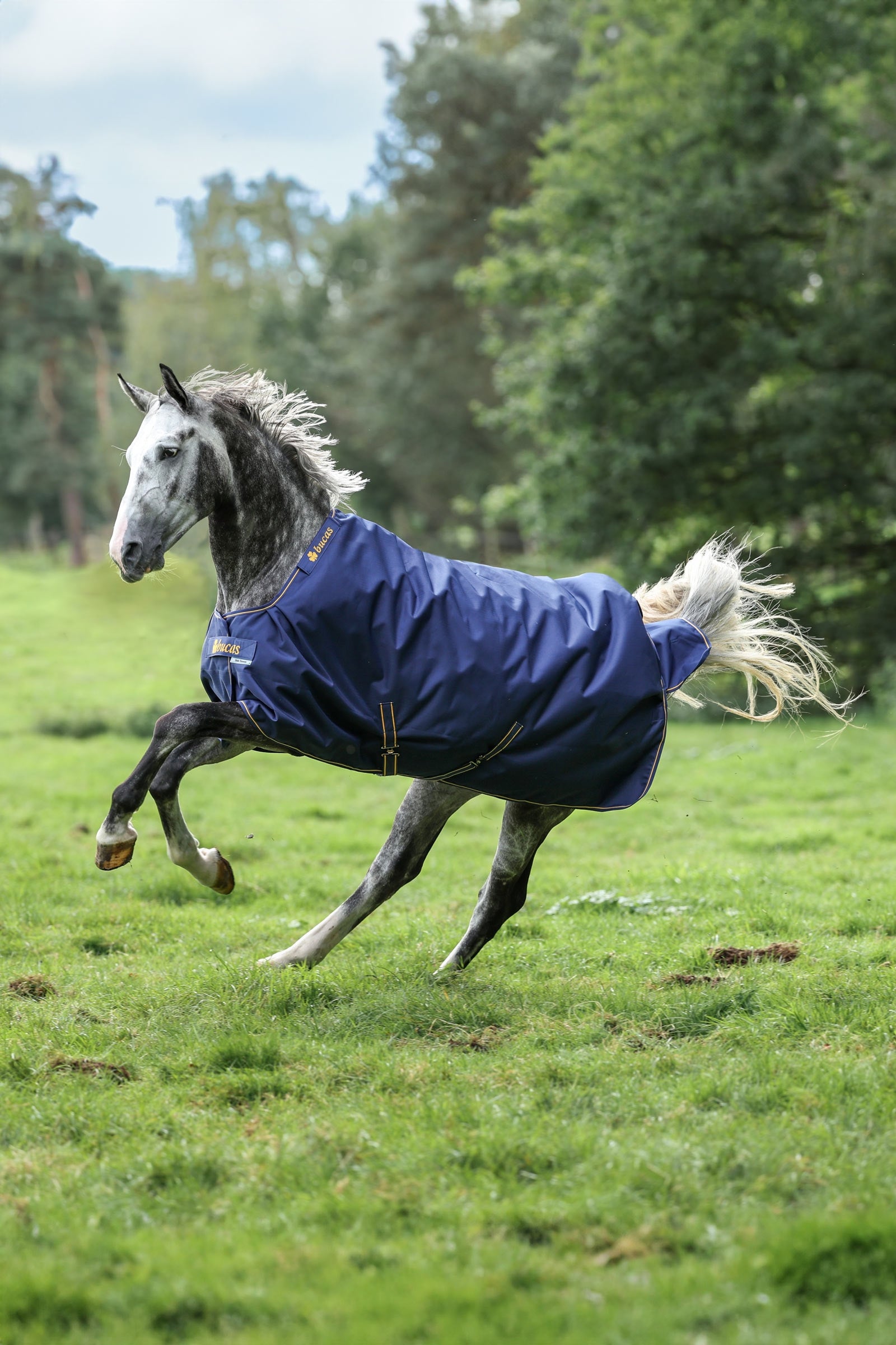 Bucas Irish výběhová deka, 150g Horse Rugs
