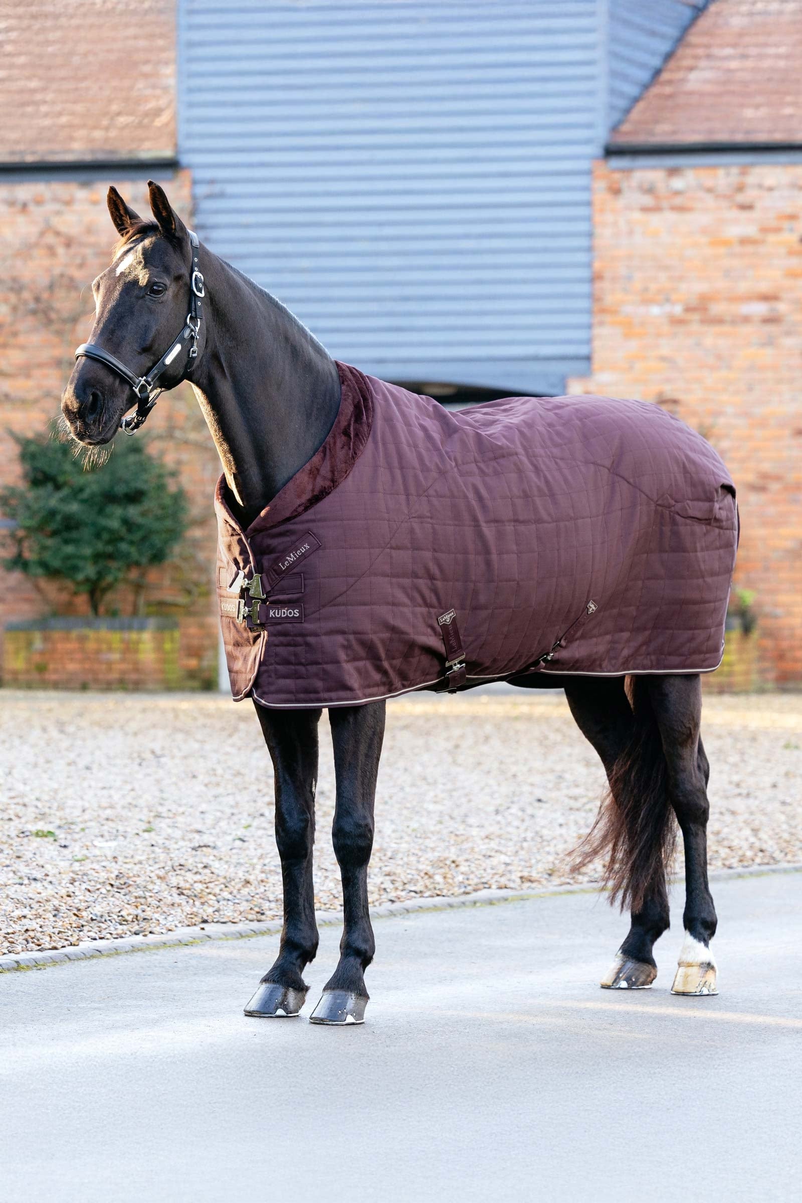LeMieux Kudos Luxe podšitá stájová deka, 100 g Horse Rugs