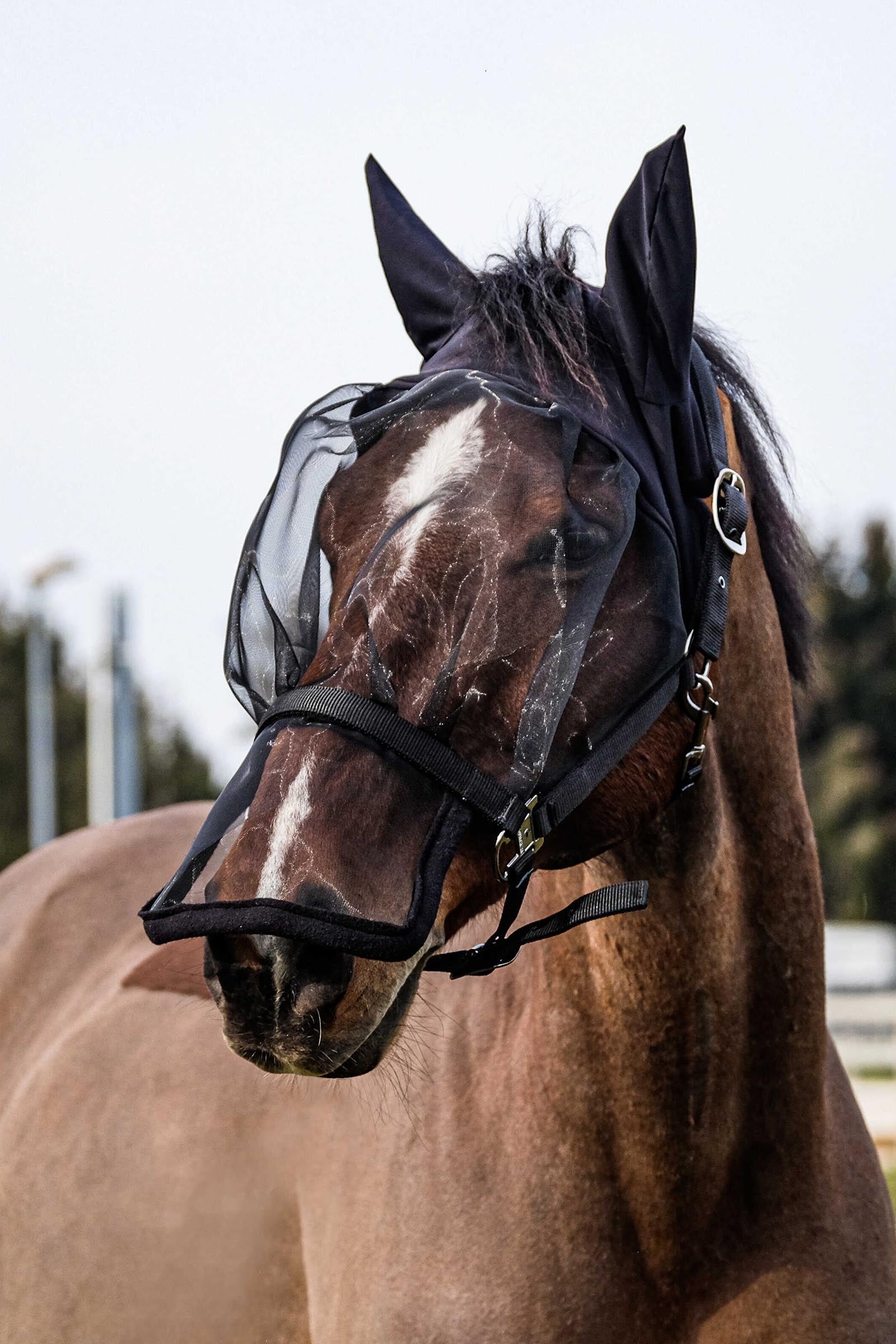 EQUITHÈME Ohlávka + UV maska Antifly Protection for Horses