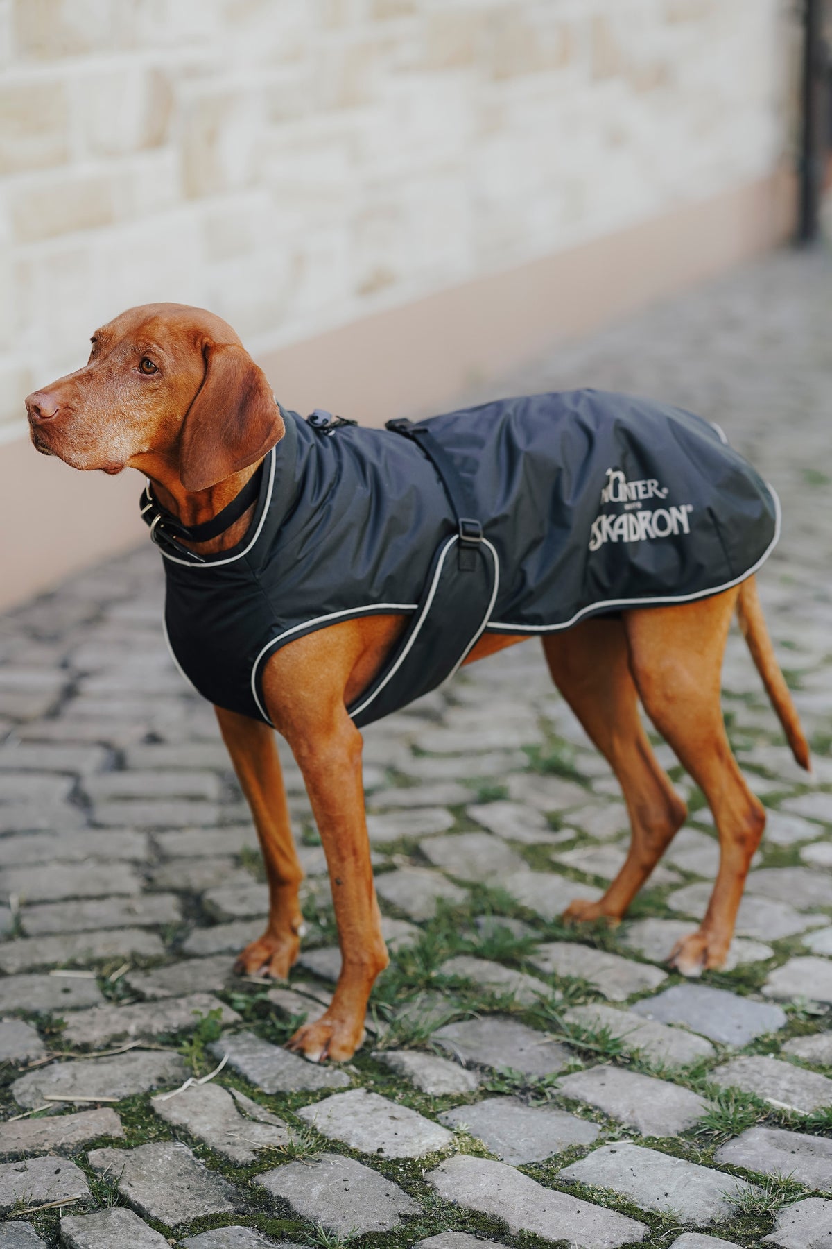 Eskadron Hunter x ESKADRON VARIO Dog Winter Coat Dog Accesories