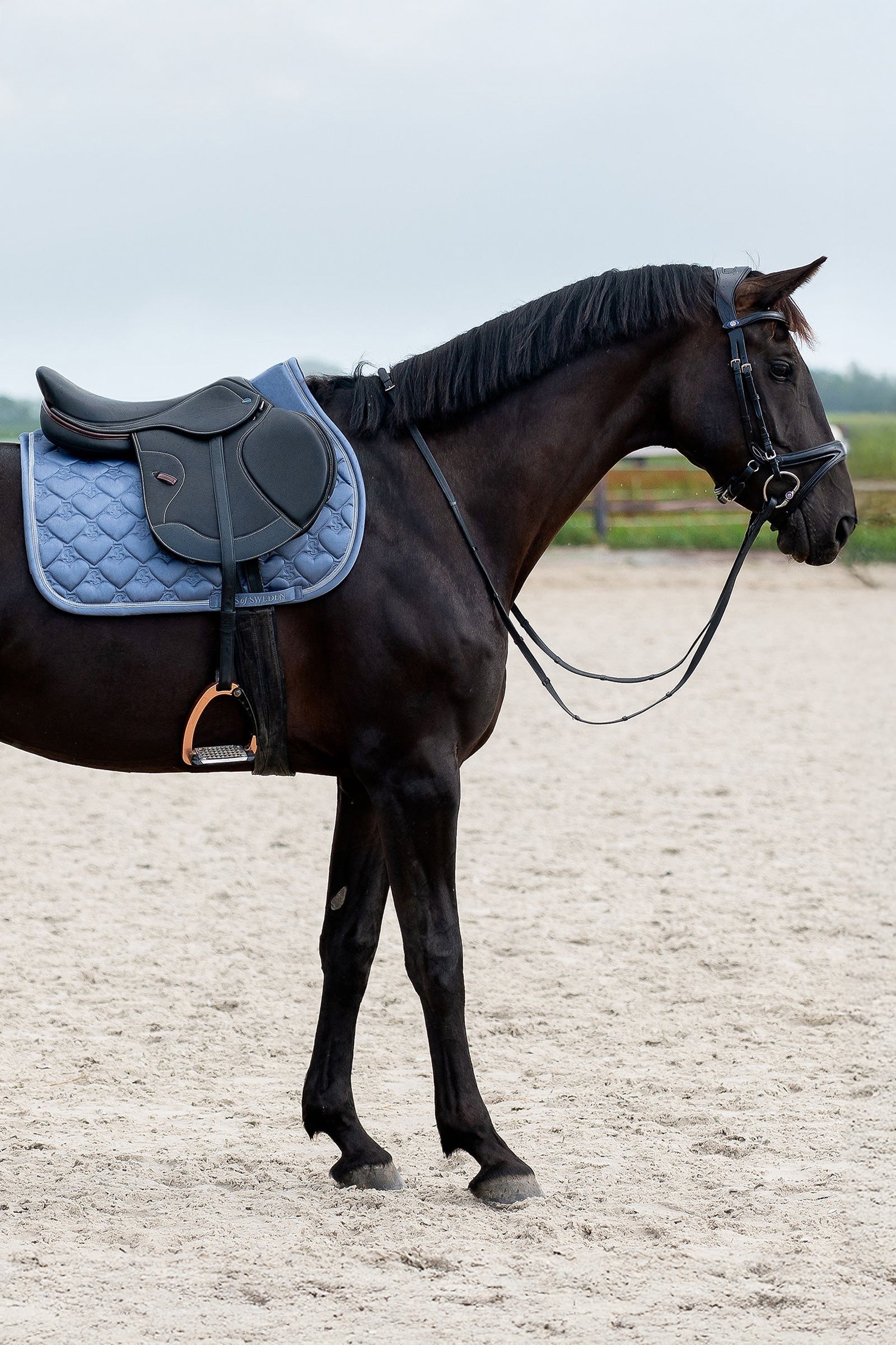 PS of Sweden Heart Jumping Saddle Pad Saddle Pads