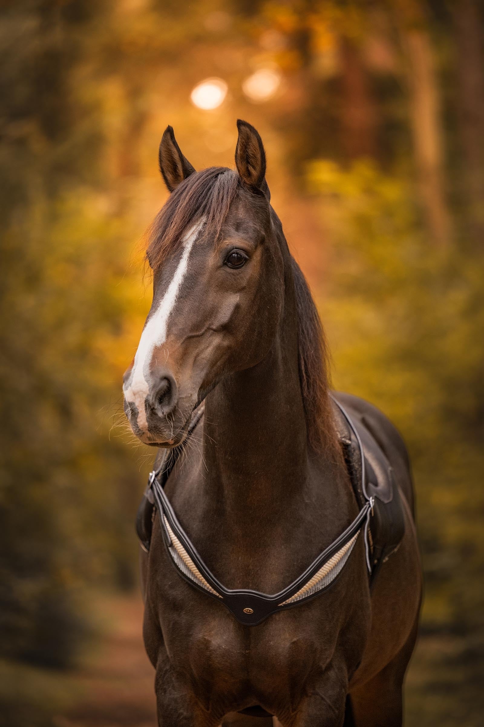 F.R.A. Freedom Riding Articles Whisper Leather Riding Balance Reins Bridles & Reins