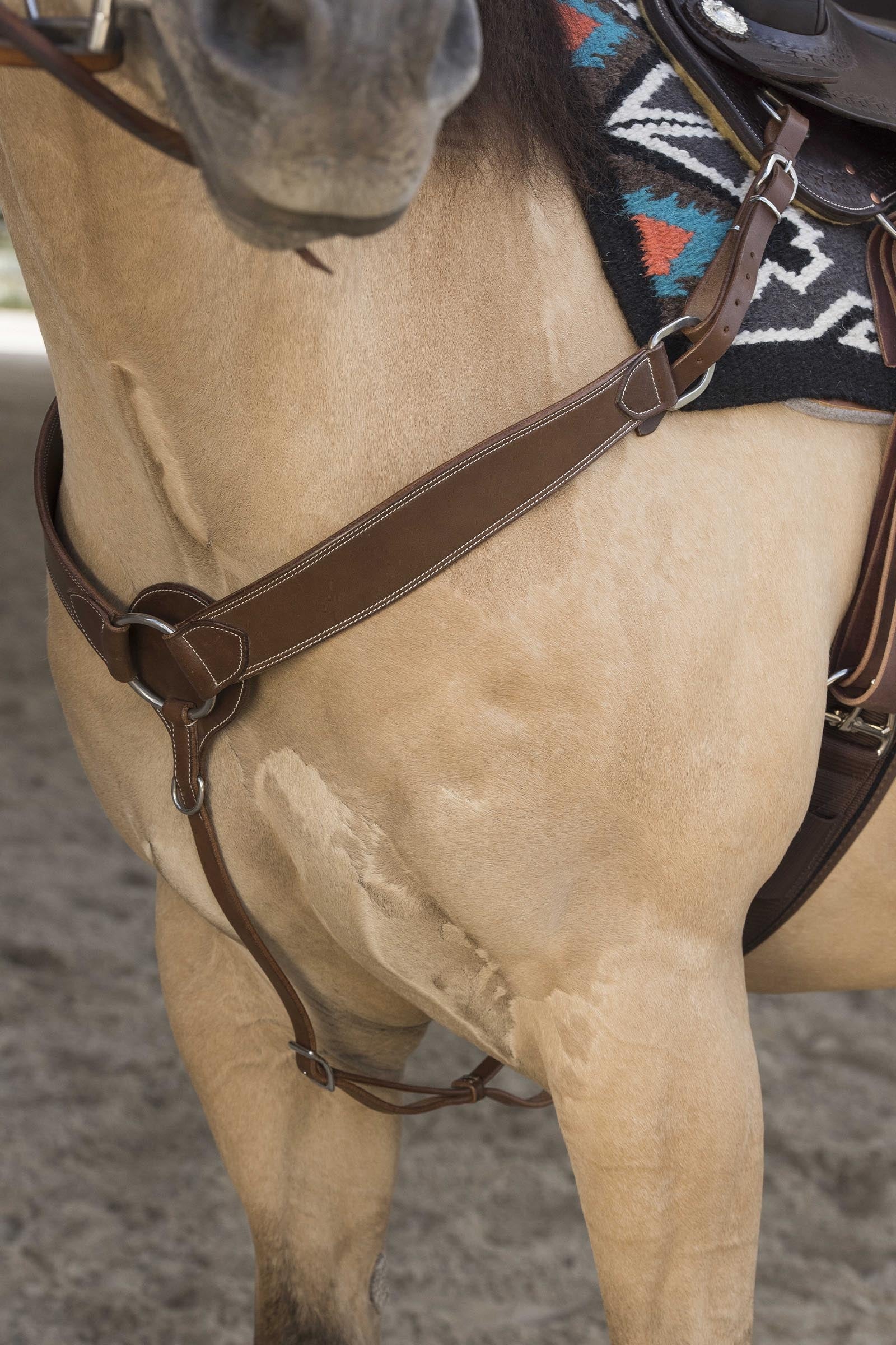 WESTRIDE Billy přední poprsák by Franck Perret Bridles & Reins