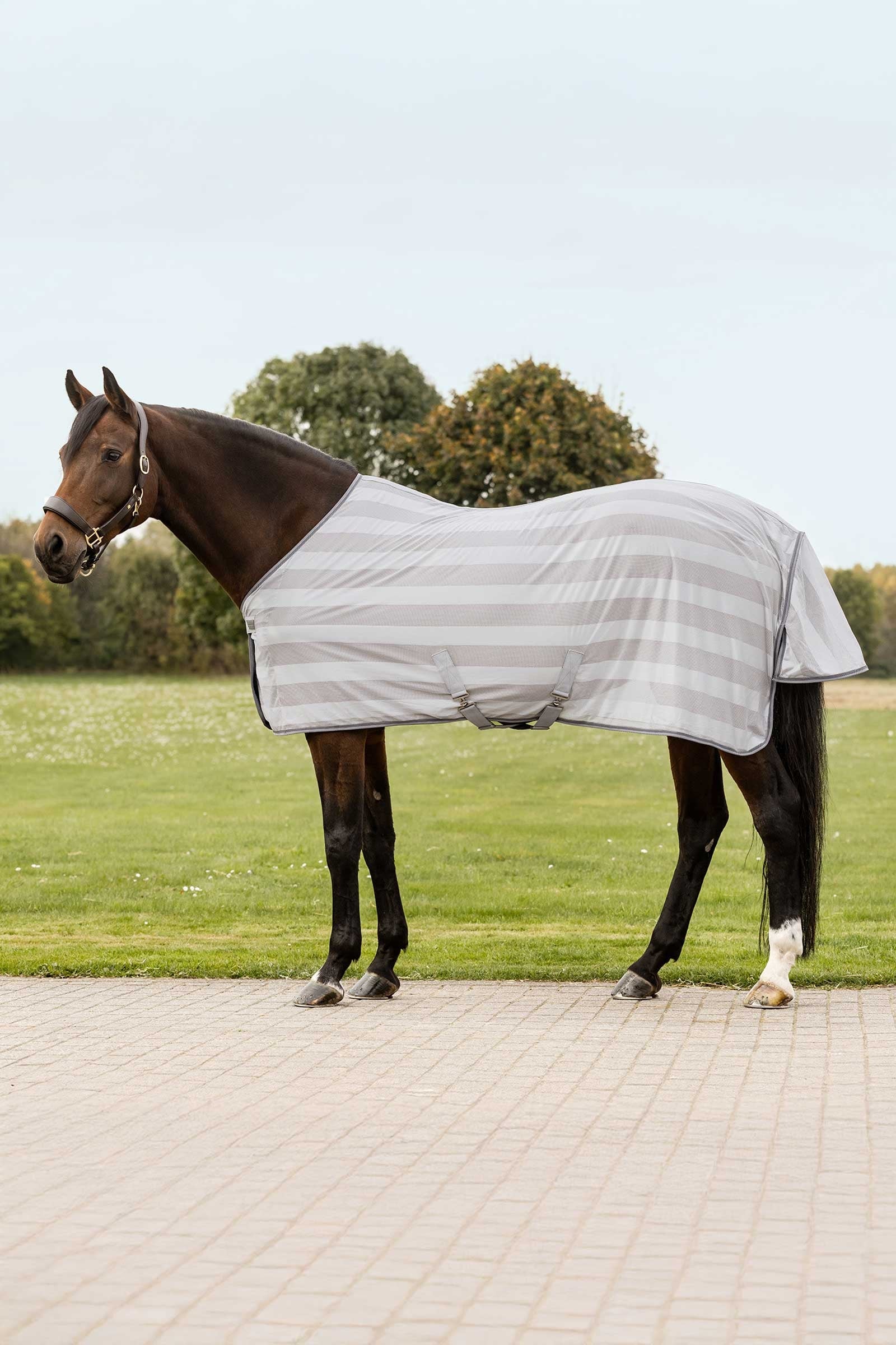 Waldhausen Economic muchová deka Horse Rugs