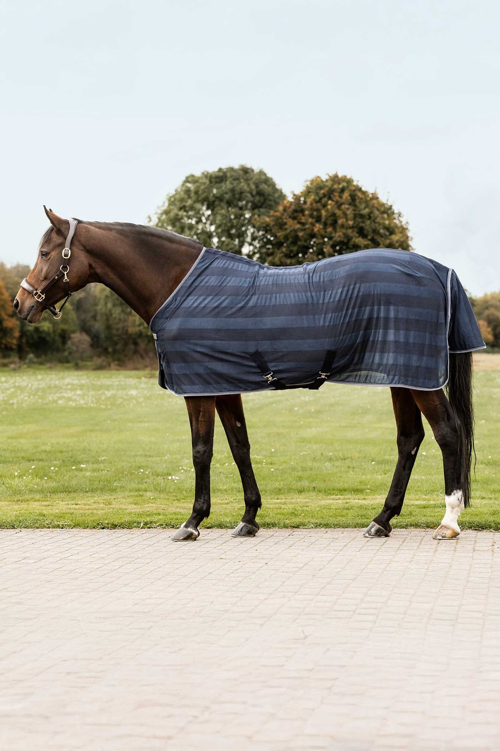 Waldhausen Economic muchová deka Horse Rugs