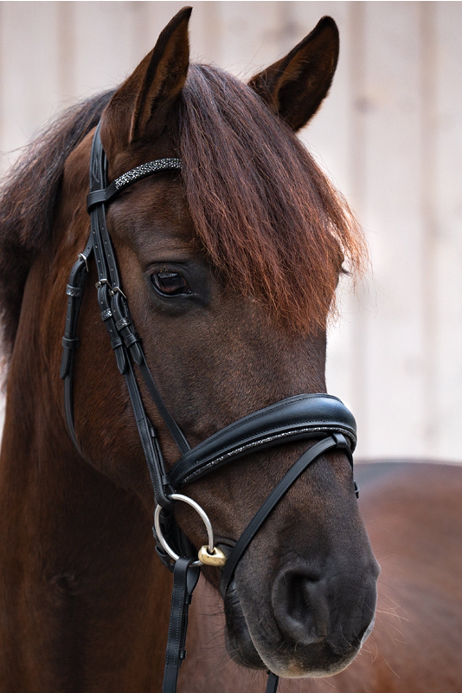 Kavalkade Victoria Uzdečka Bridles & Reins
