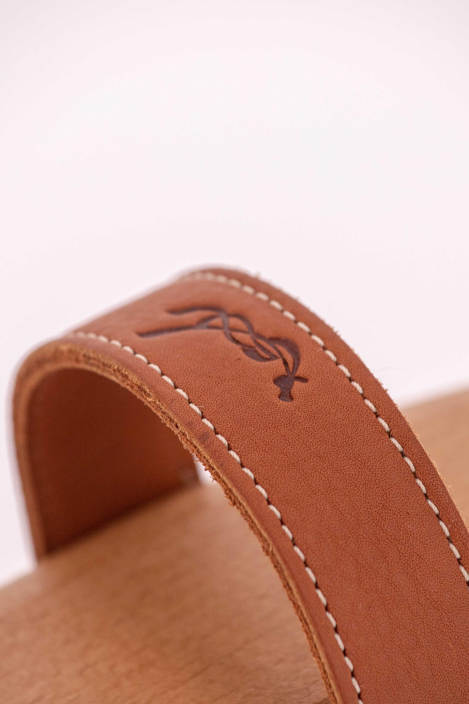 PENELOPE Dandy Brush, Large Horse Grooming Tools