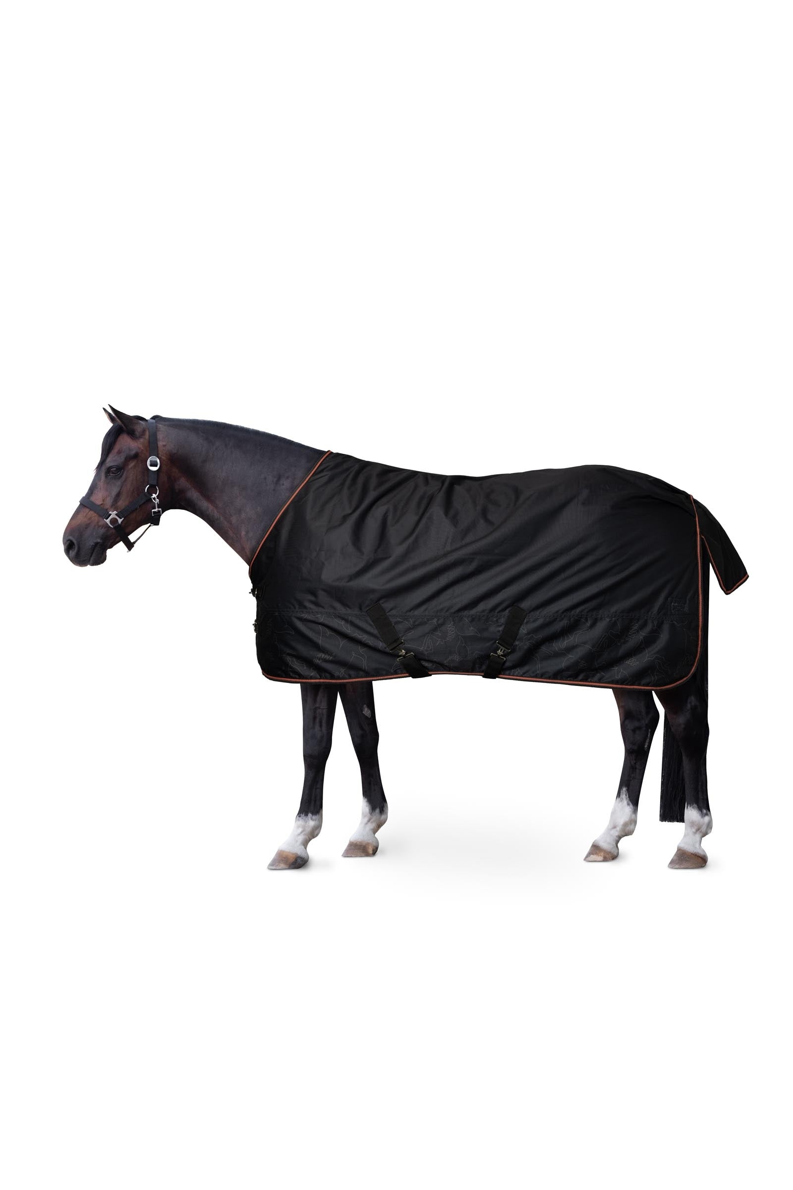 Horze Výběhová deka pro poníky Pegasus s fleecovou podšívkou Horse Rugs