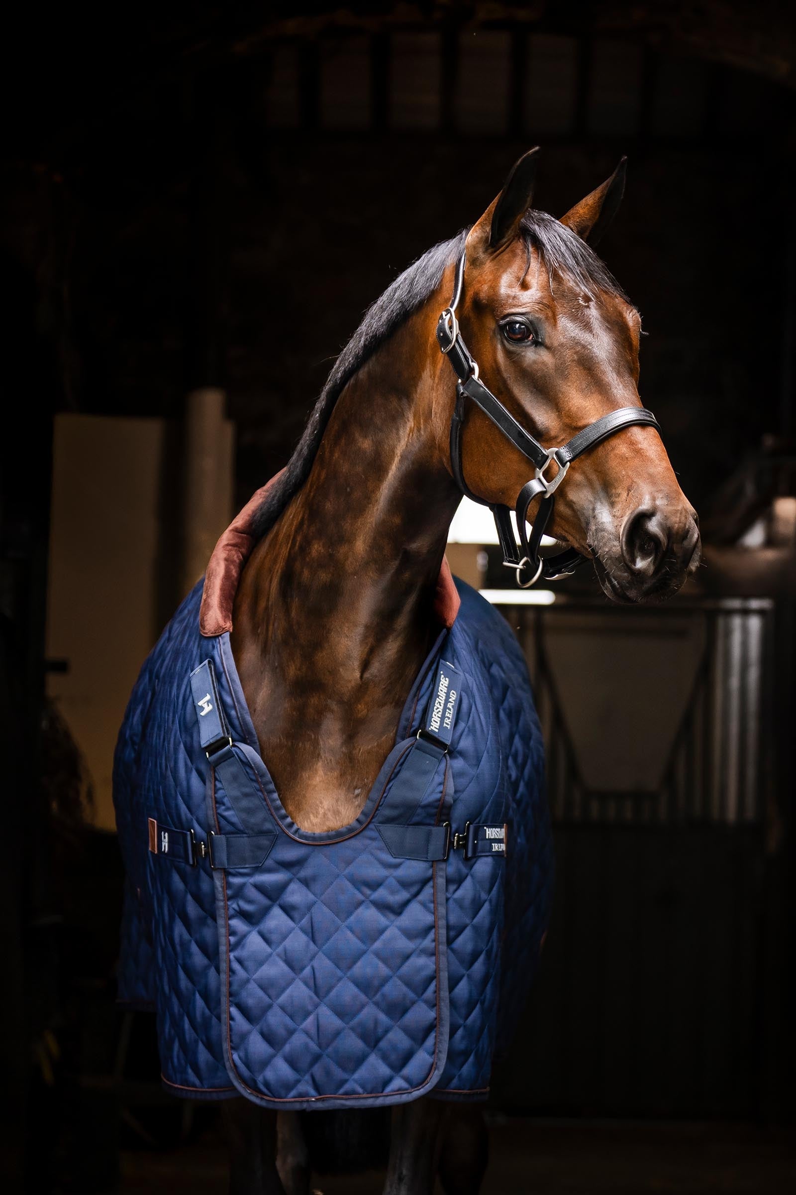 Horseware Signature Stable, 200g Horse Rugs