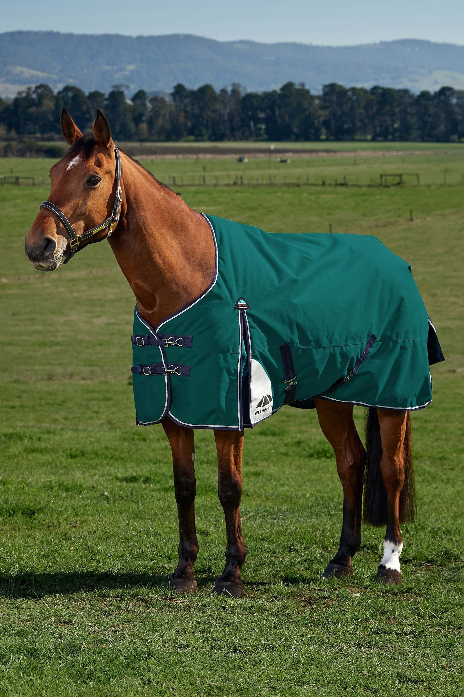 Weatherbeeta ComFiTecPlus Dynamic Turnout Rug, 0 g Horse Rugs