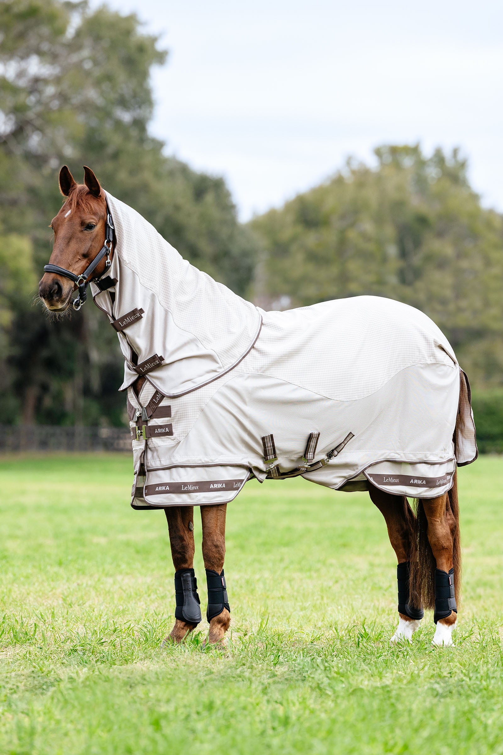 LeMieux Arika 450D Sunstopper výběhová deka s odnímatelným krčním dílem, 0 g Horse Rugs