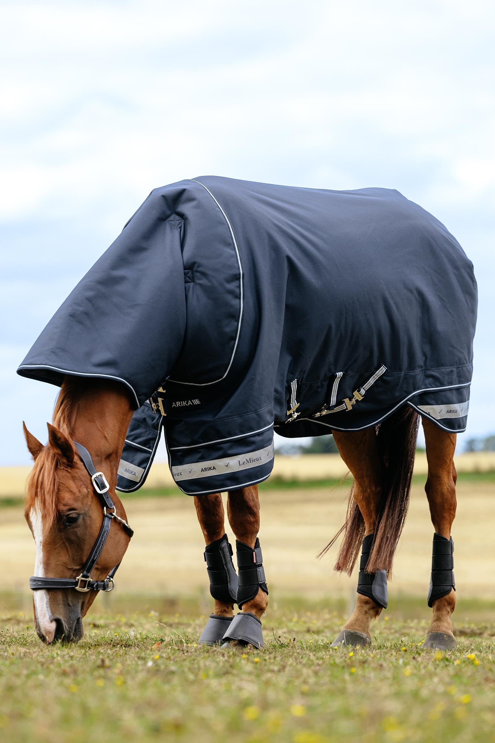 LeMieux Arika Storm-Tek Turnout Rug, 350 g Horse Rugs