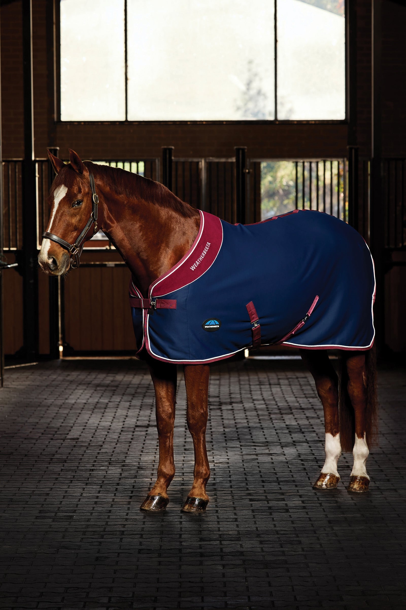 Weatherbeeta Opulence Turnajová deka Standard krk Horse Rugs
