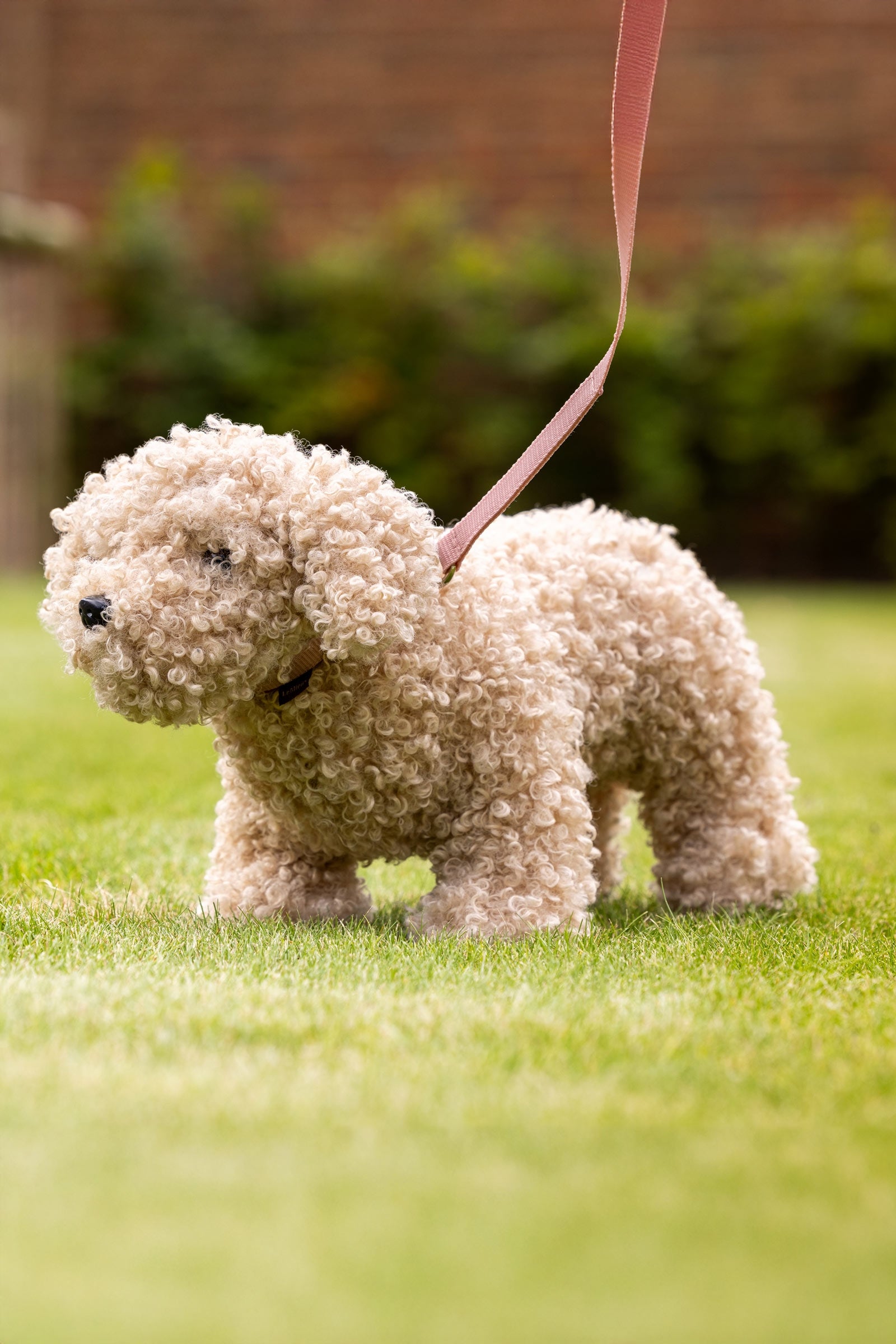 LeMieux Chester Toy Puppy Gifts & Toys