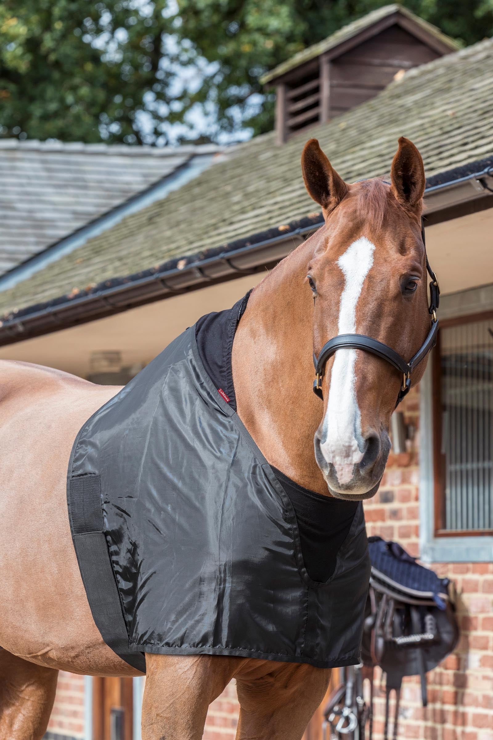 LeMieux Anti Rub Bib Horse Rugs