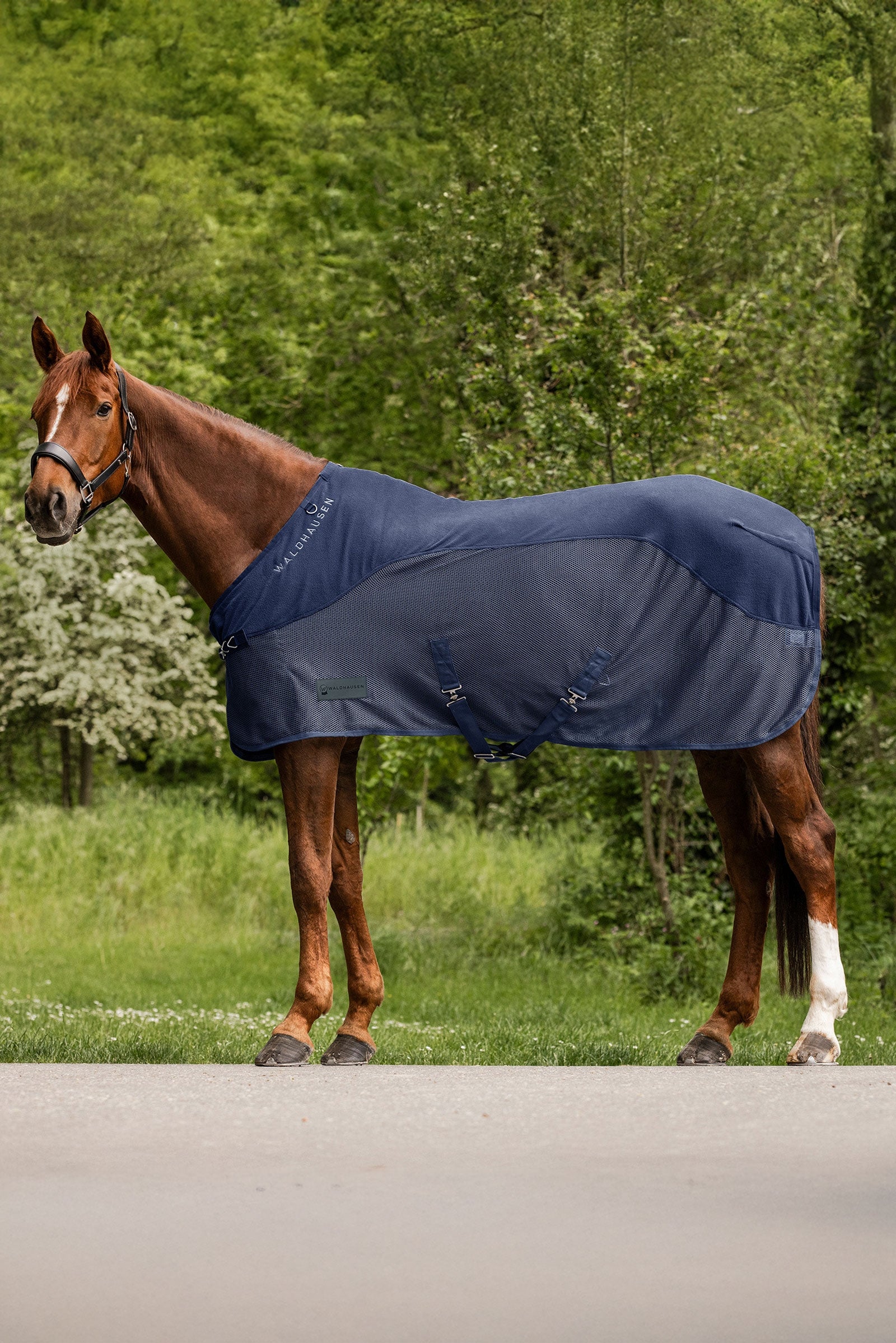 Waldhausen Comfort fleece muchová deka Horse Rugs