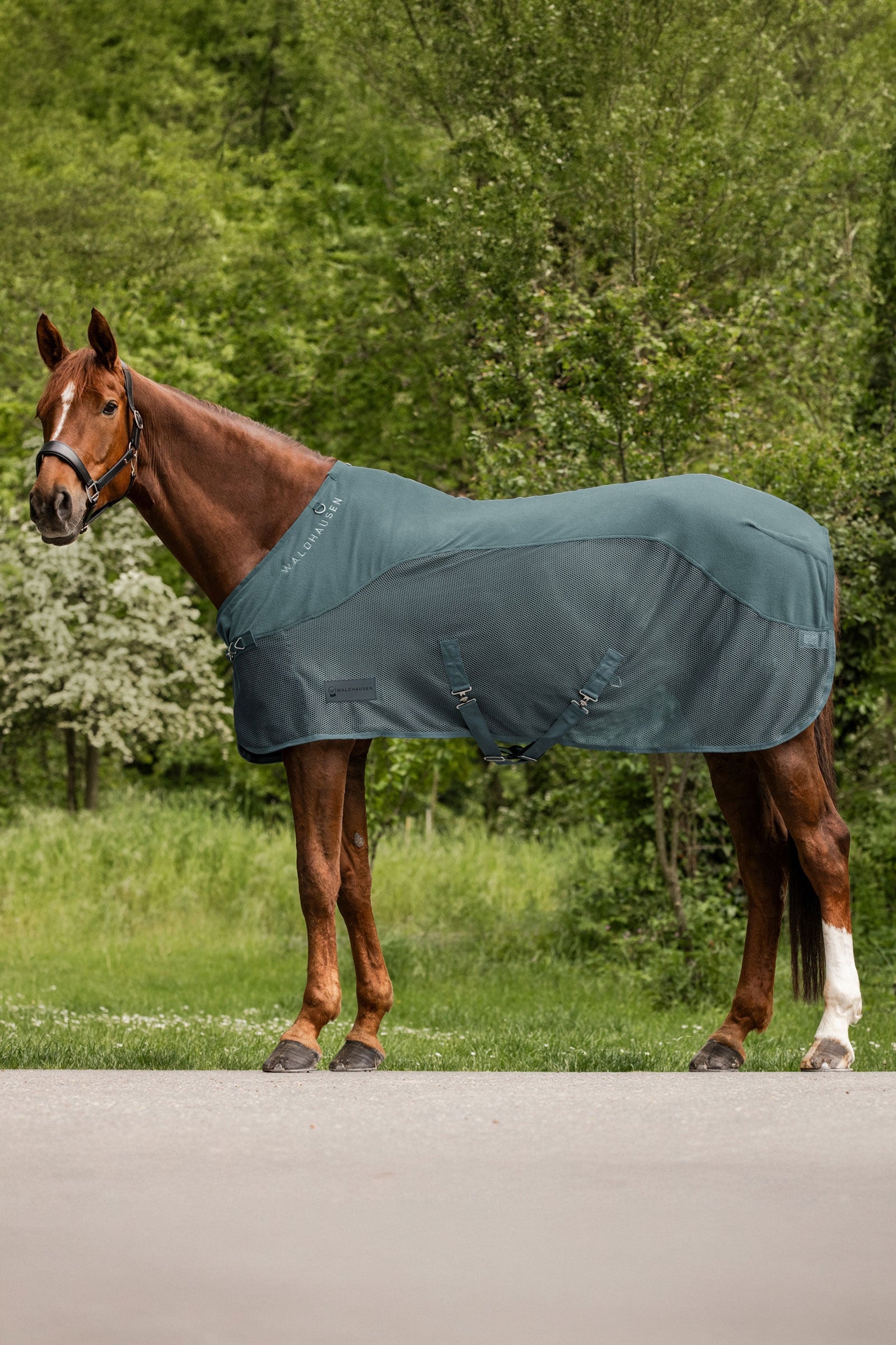 Waldhausen Comfort fleece muchová deka Horse Rugs