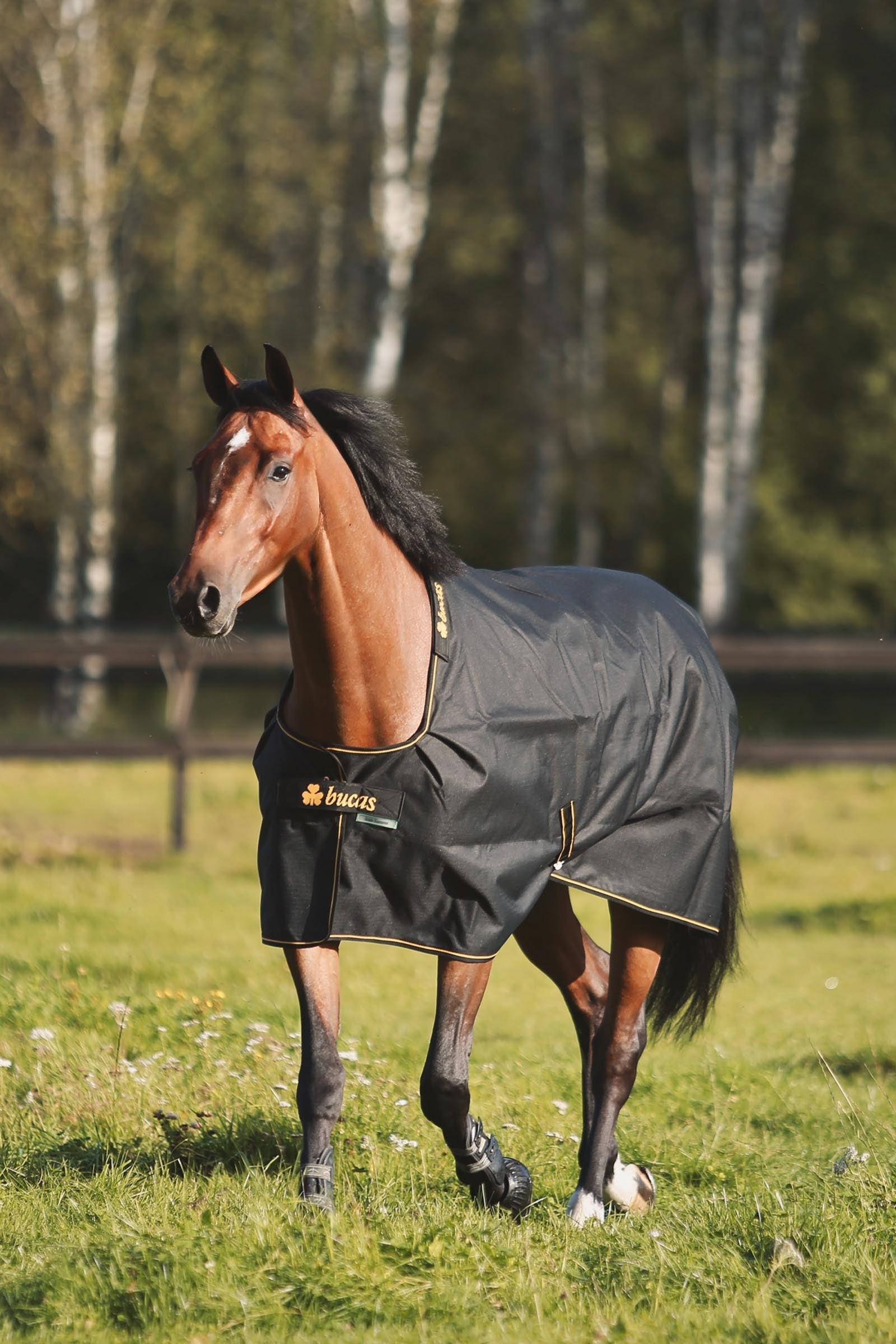 Bucas Irish Turnout 50 g Rug & Neck Horse Rugs