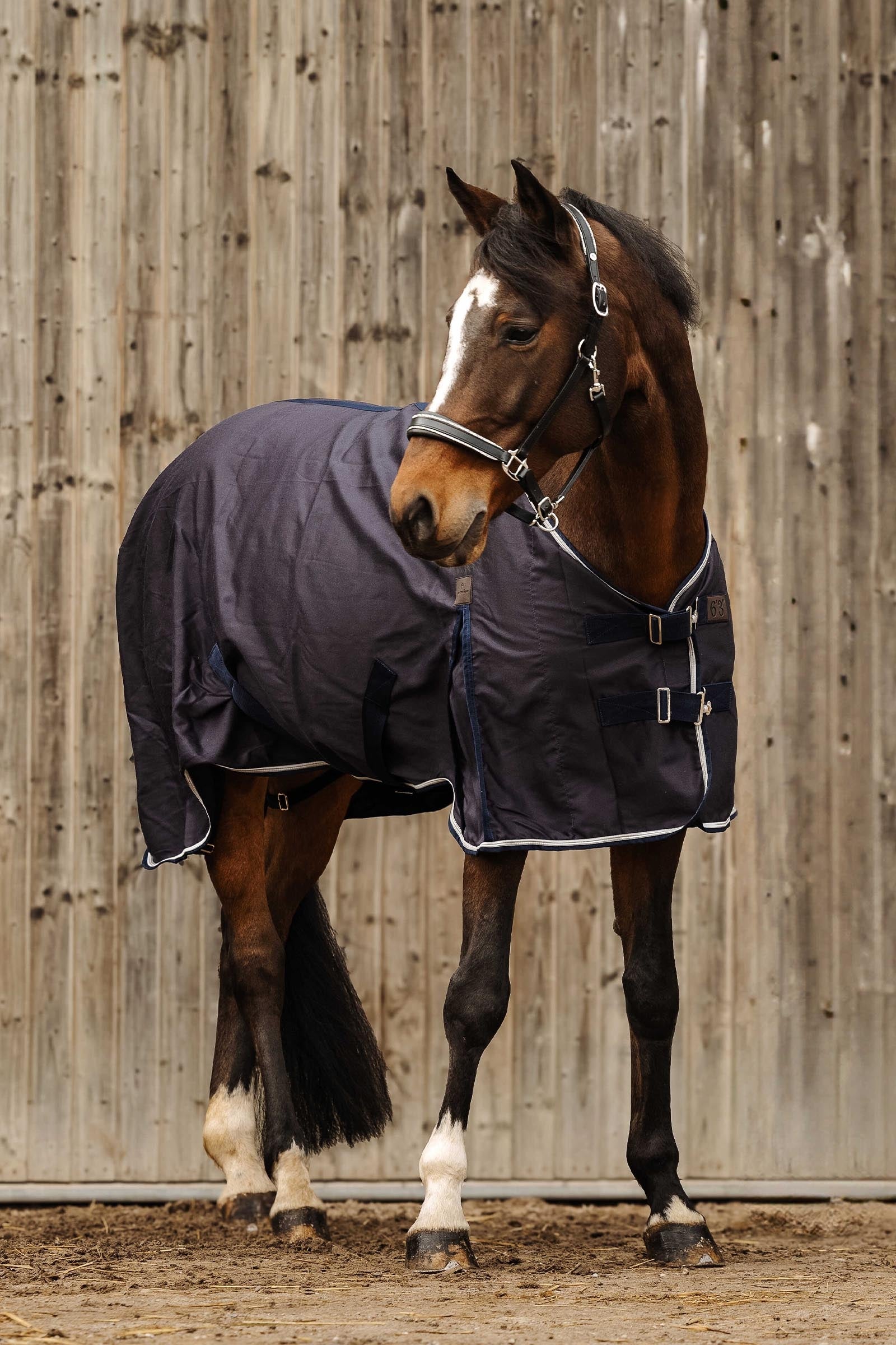 EQUITHÈME Wave deka Horse Rugs