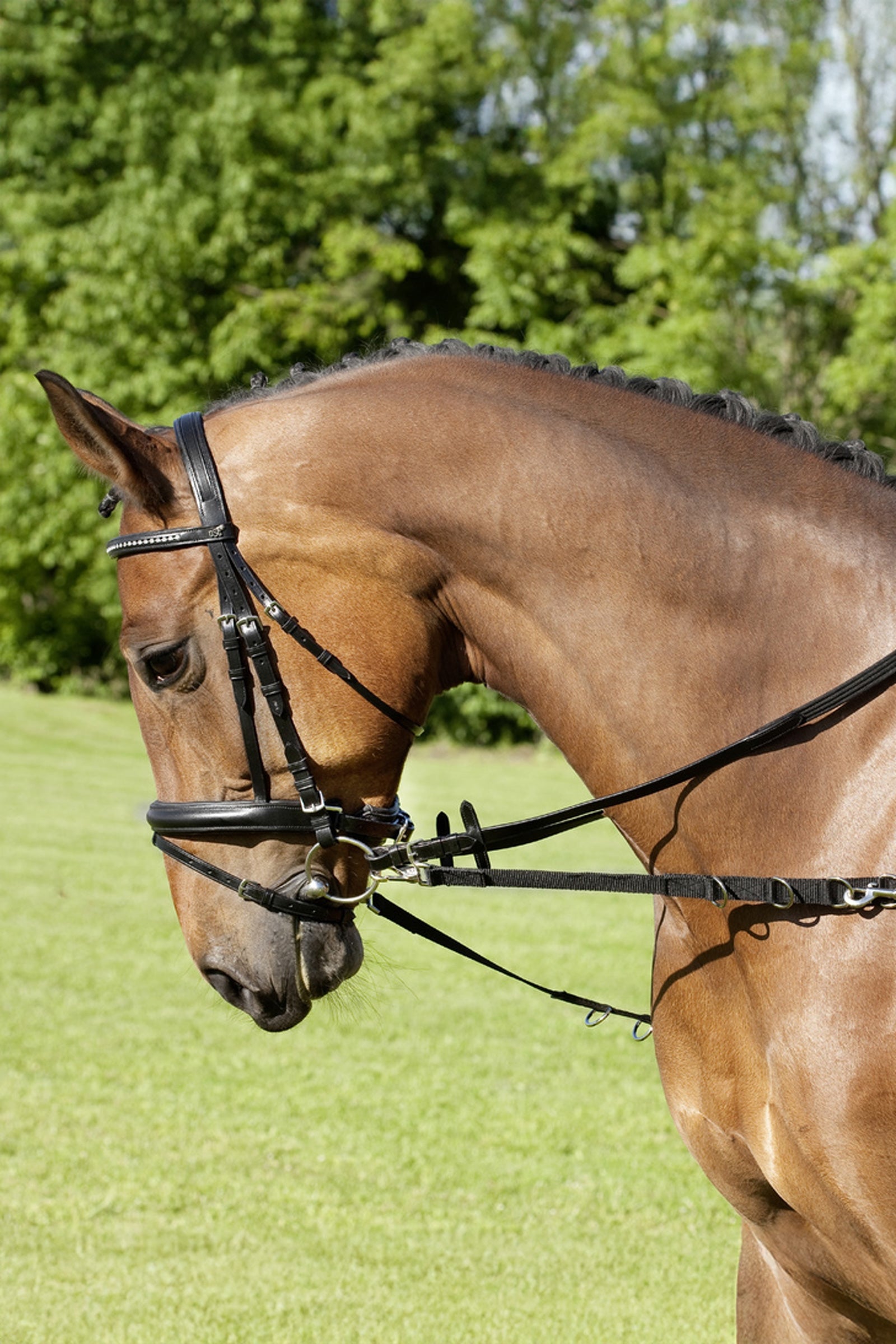 USG Nylonové vyvazovací otěže se stříbrnými kováními Bridles & Reins
