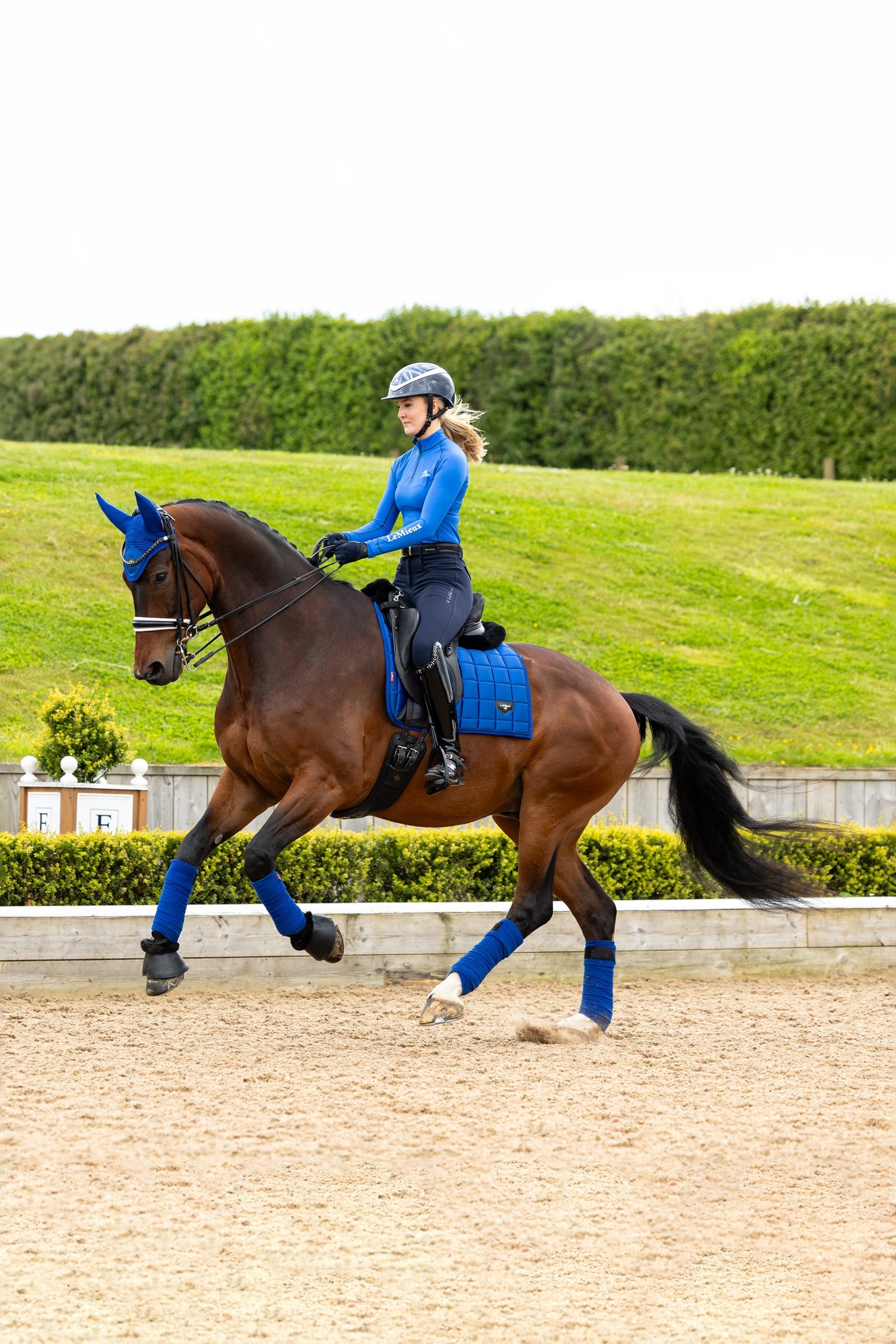 LeMieux Loire Classic Square Dressage Saddle Pad Saddle Pads