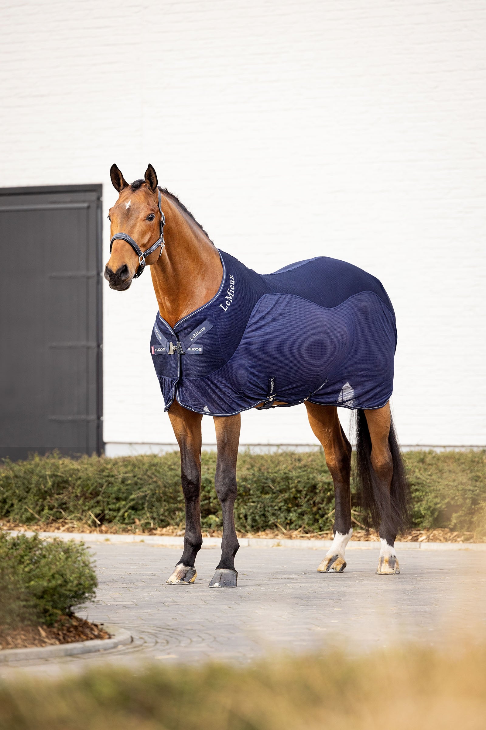 LeMieux Kudos sportovní síťovaná odpocovací deka Horse Rugs