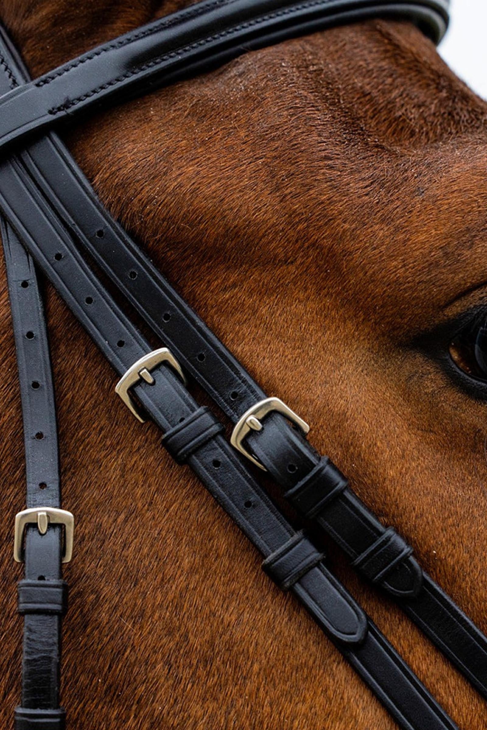 Trust Equestrian Rome Drop Noseband Bridle Bridles & Reins