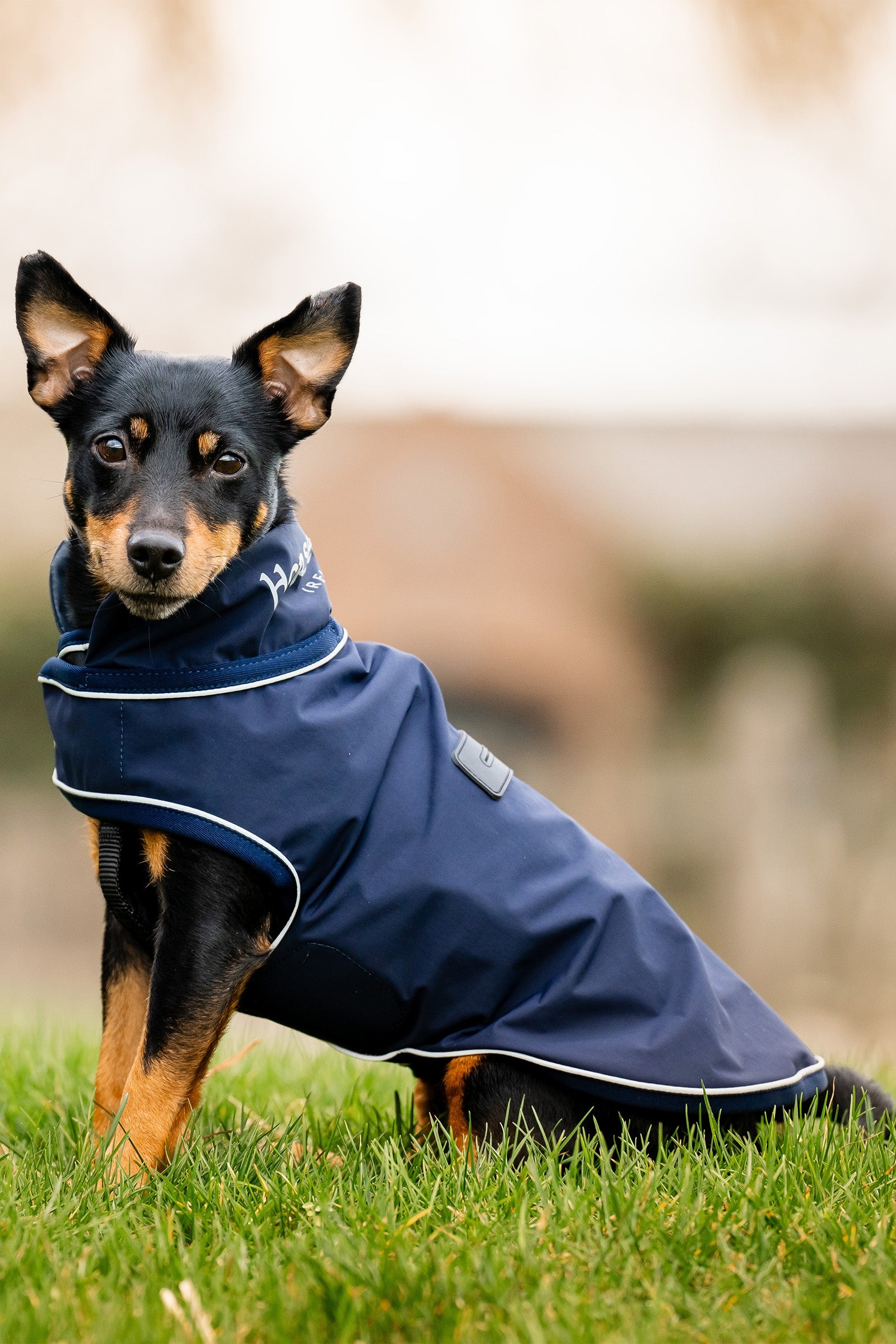 Horseware Podpis Pes Deštník Kabát Dog Accesories