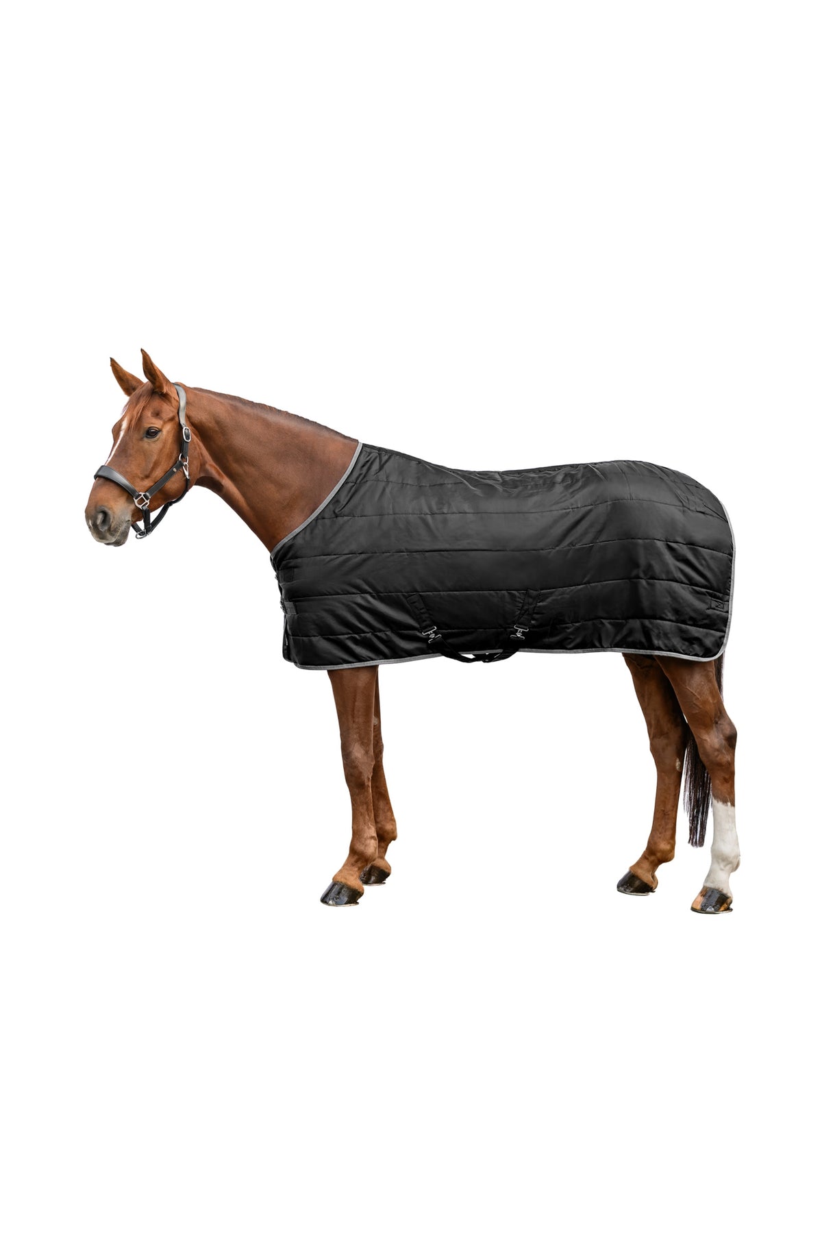Waldhausen ECONOMIC 420D Stájová Deka, 300 g Horse Rugs