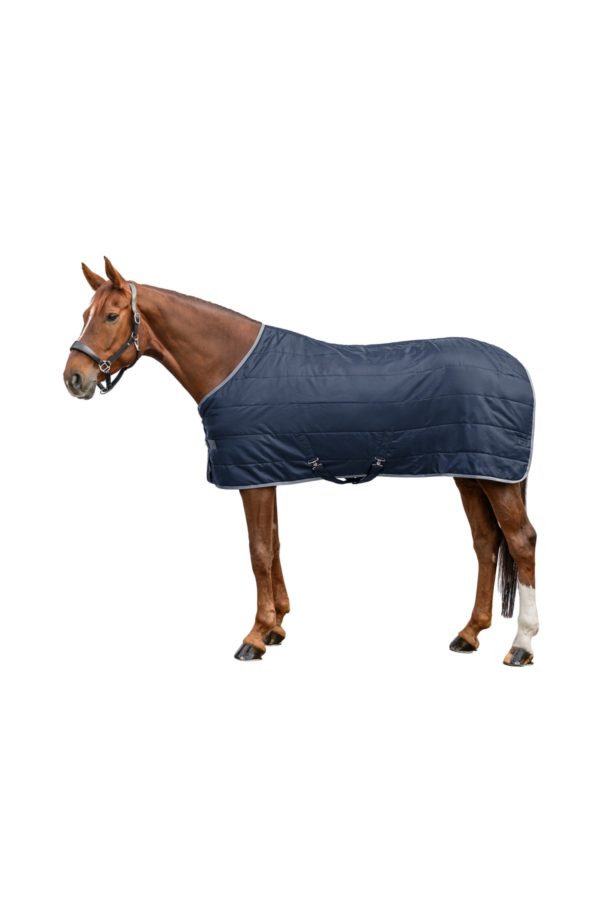 Waldhausen ECONOMIC 420D Stájová Deka, 300 g Horse Rugs