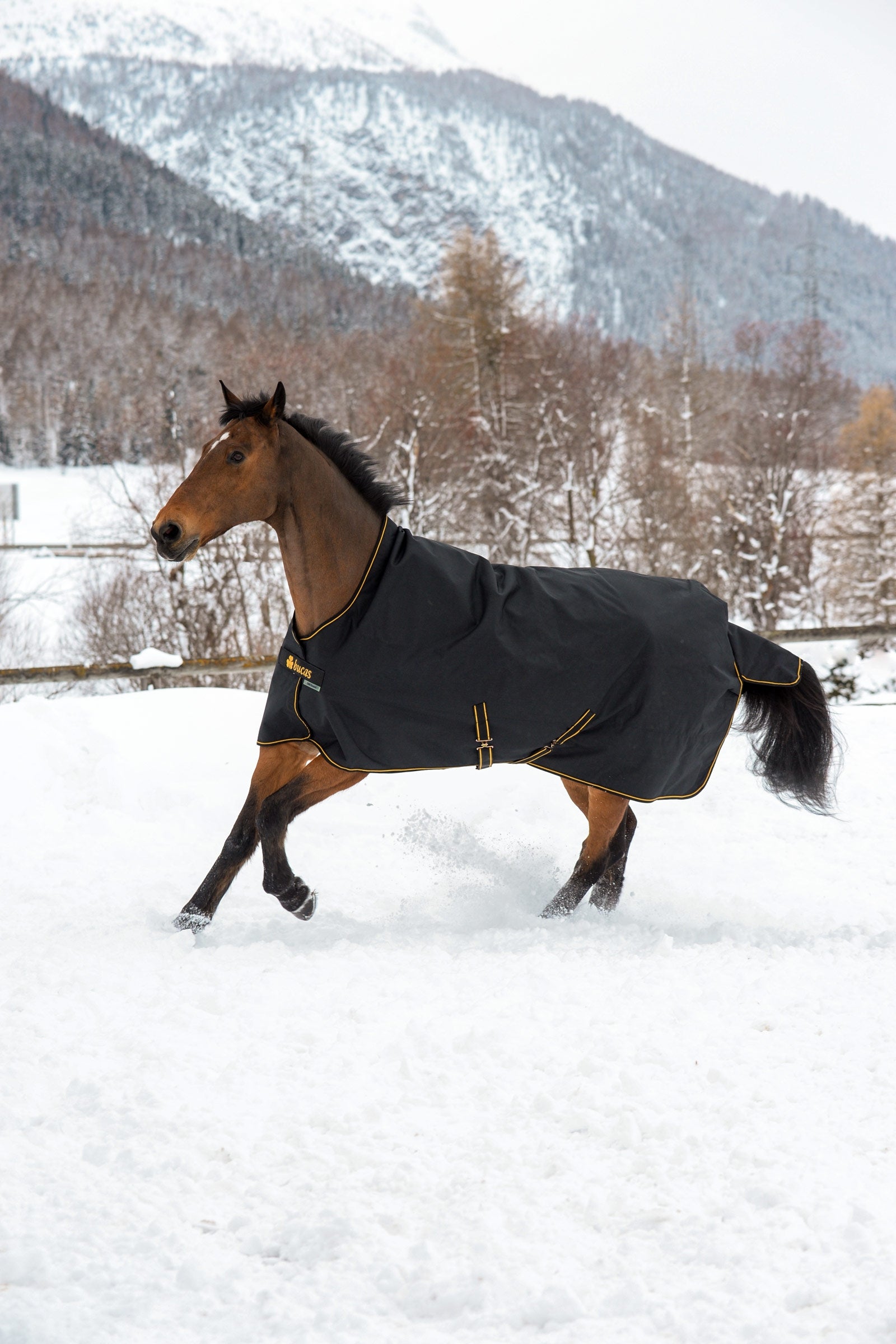 Bucas Irish výběhová deka s vysokým krkem, 300g Horse Rugs