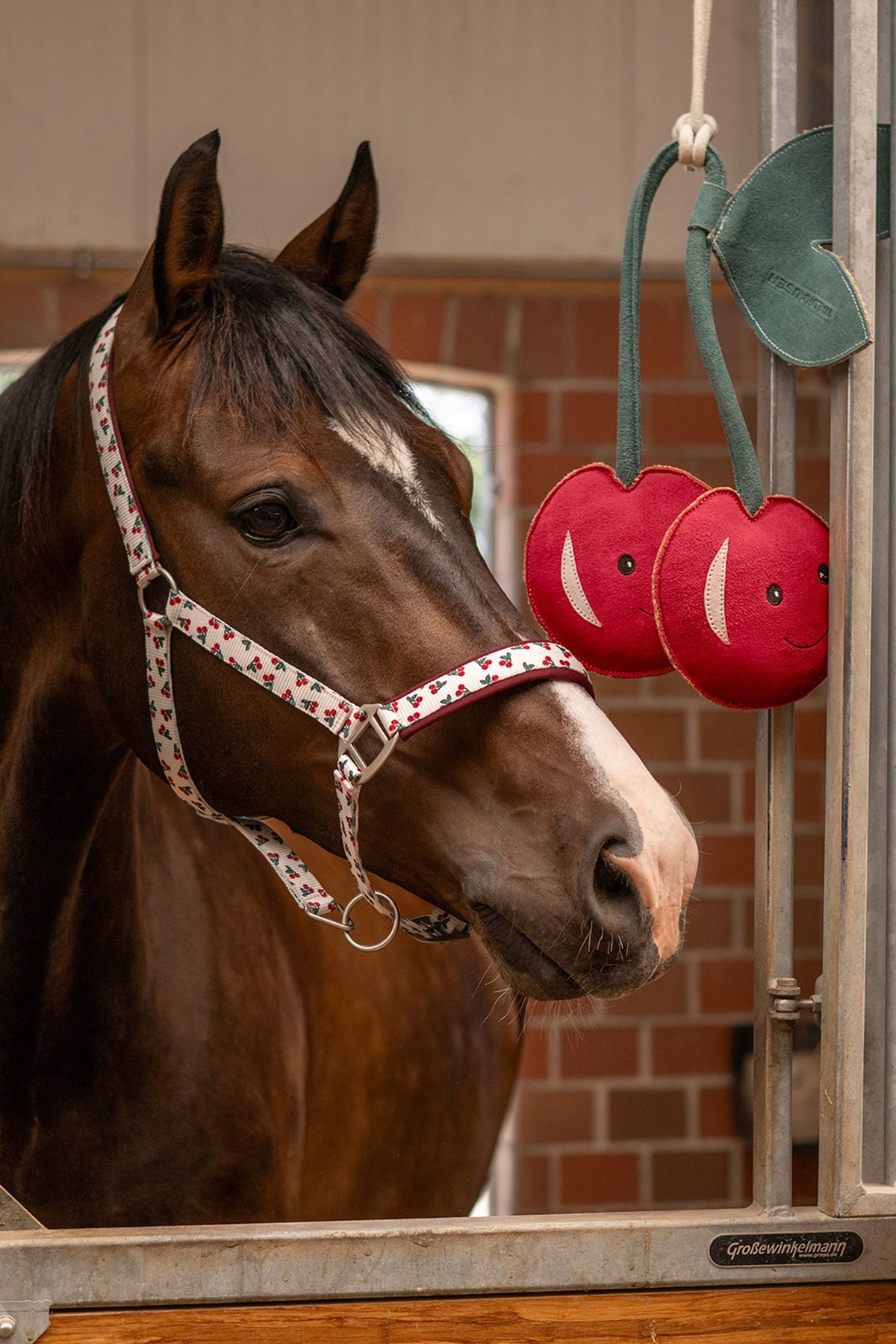 Waldhausen Cherry Halter Halters & Leads