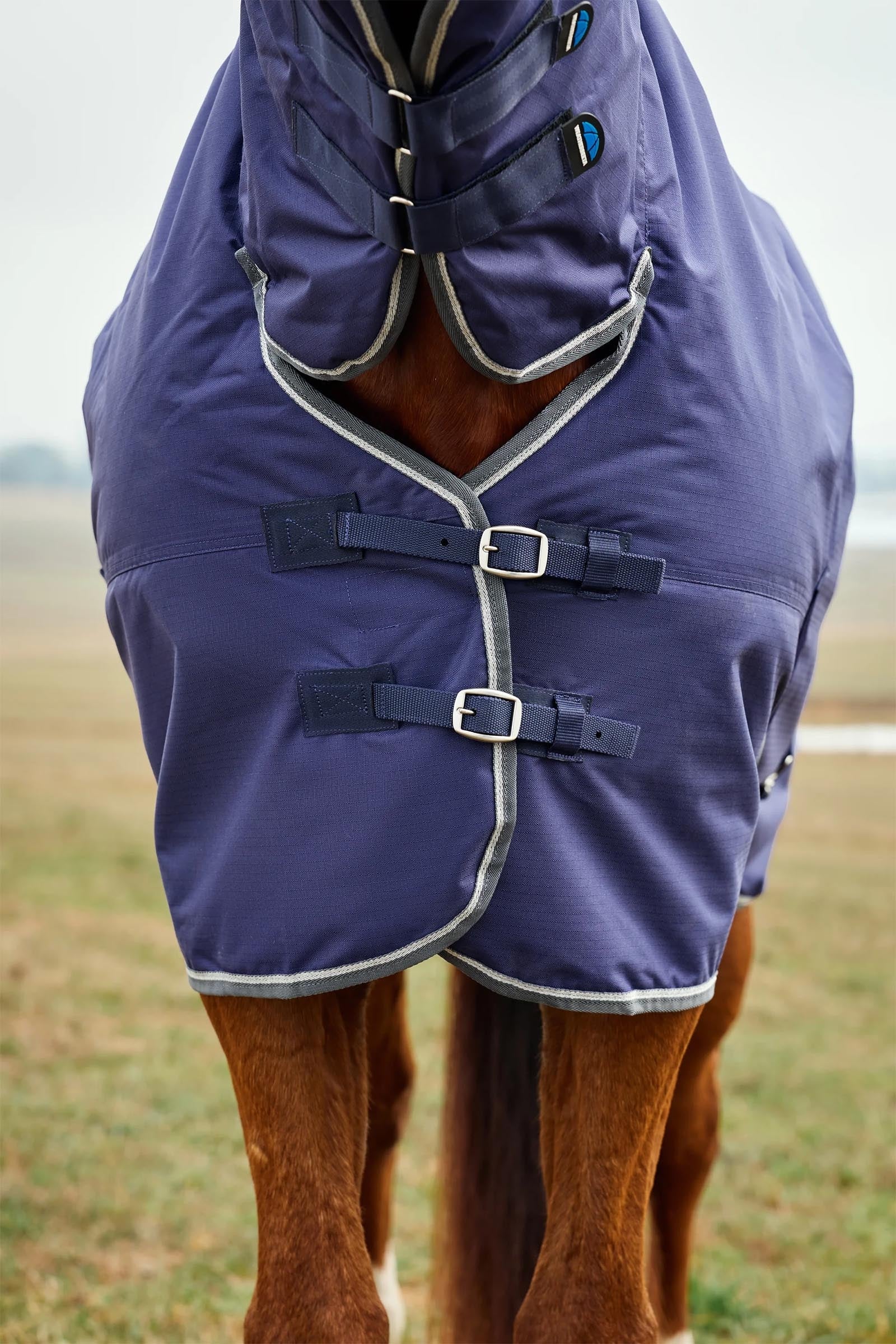 Weatherbeeta Comfitec Tyro Turnout Rug Combo Neck 220g Horse Rugs