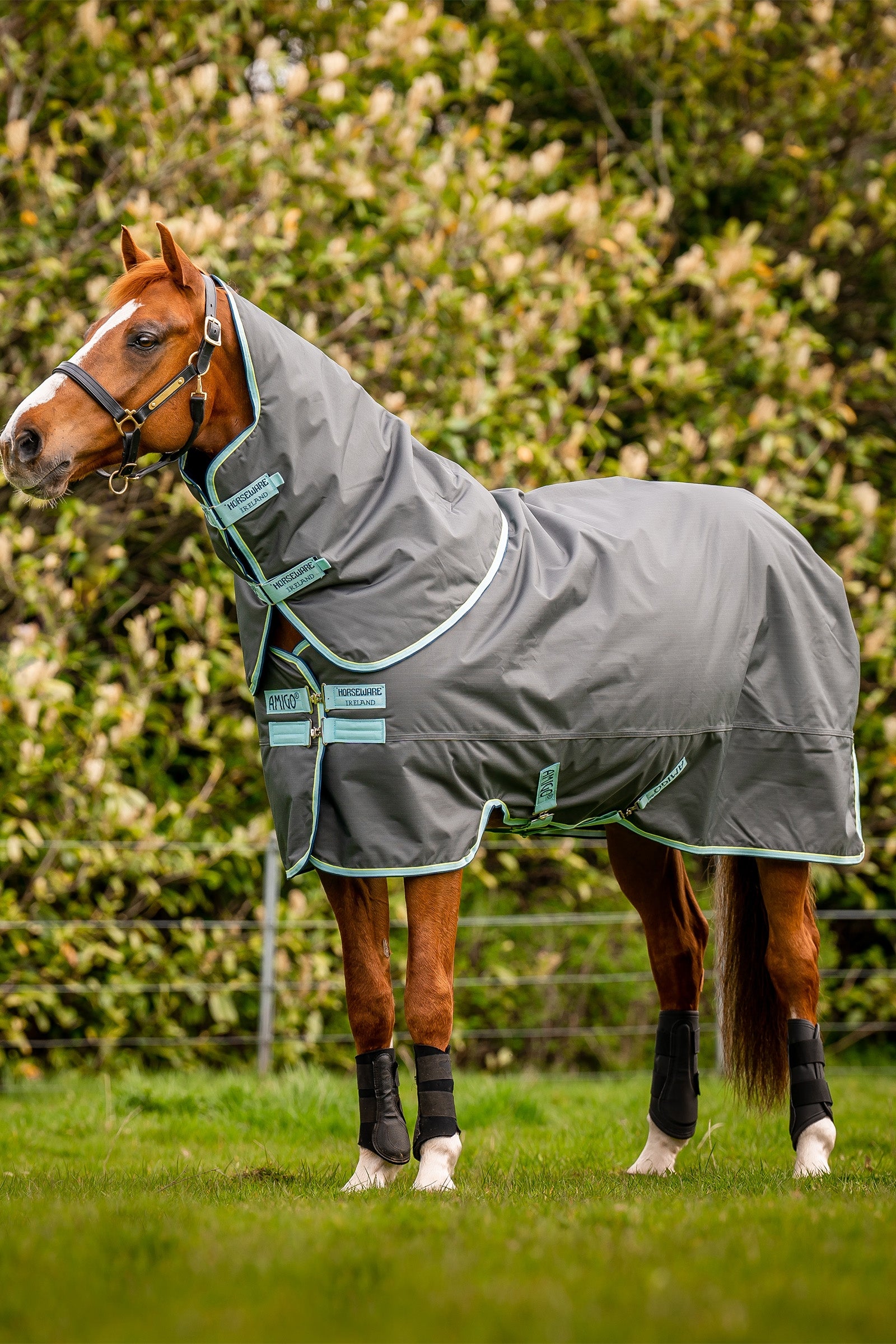 Horseware Amigo Hero Ripstop Plus výběhová deka s odnímatelným krkem, 200g Horse Rugs