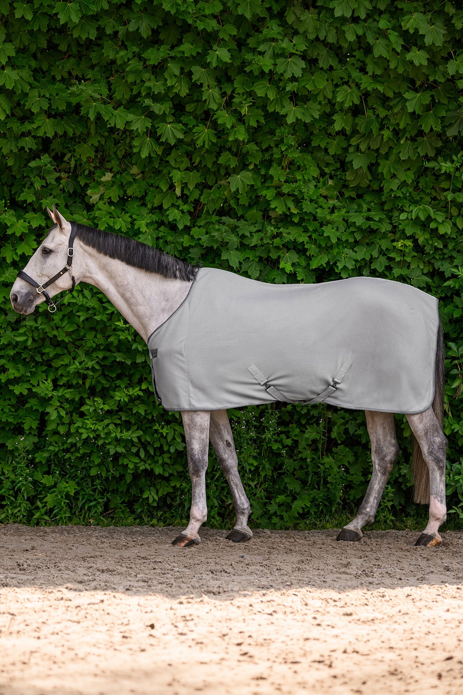 Waldhausen ECONOMIC fleecová deka s křížovým zapínáním Horse Rugs