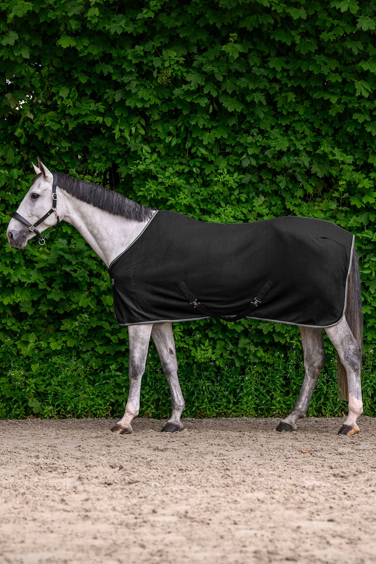 Waldhausen ECONOMIC fleecová deka s křížovým zapínáním Horse Rugs