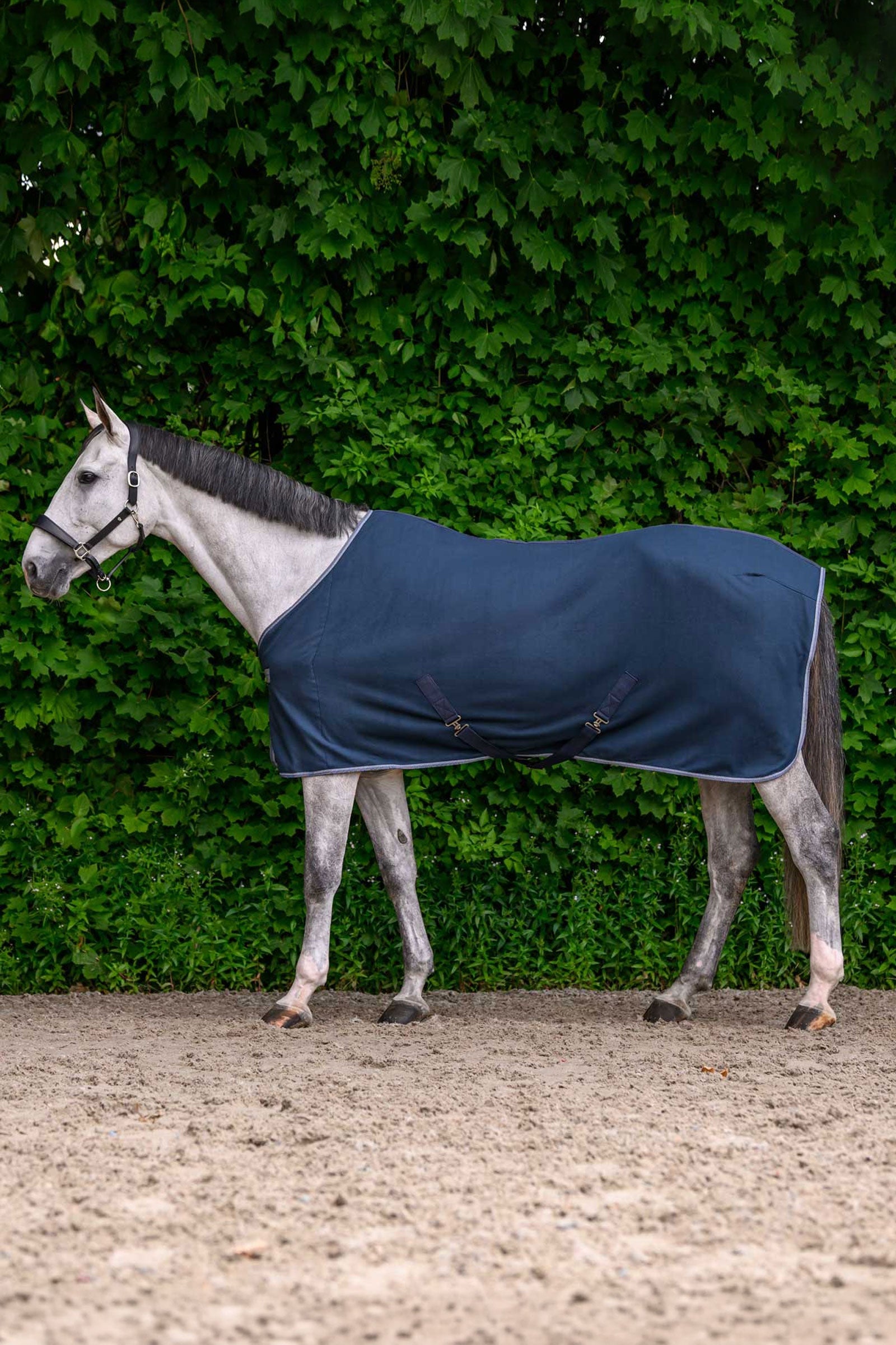 Waldhausen ECONOMIC fleecová deka s křížovým zapínáním Horse Rugs