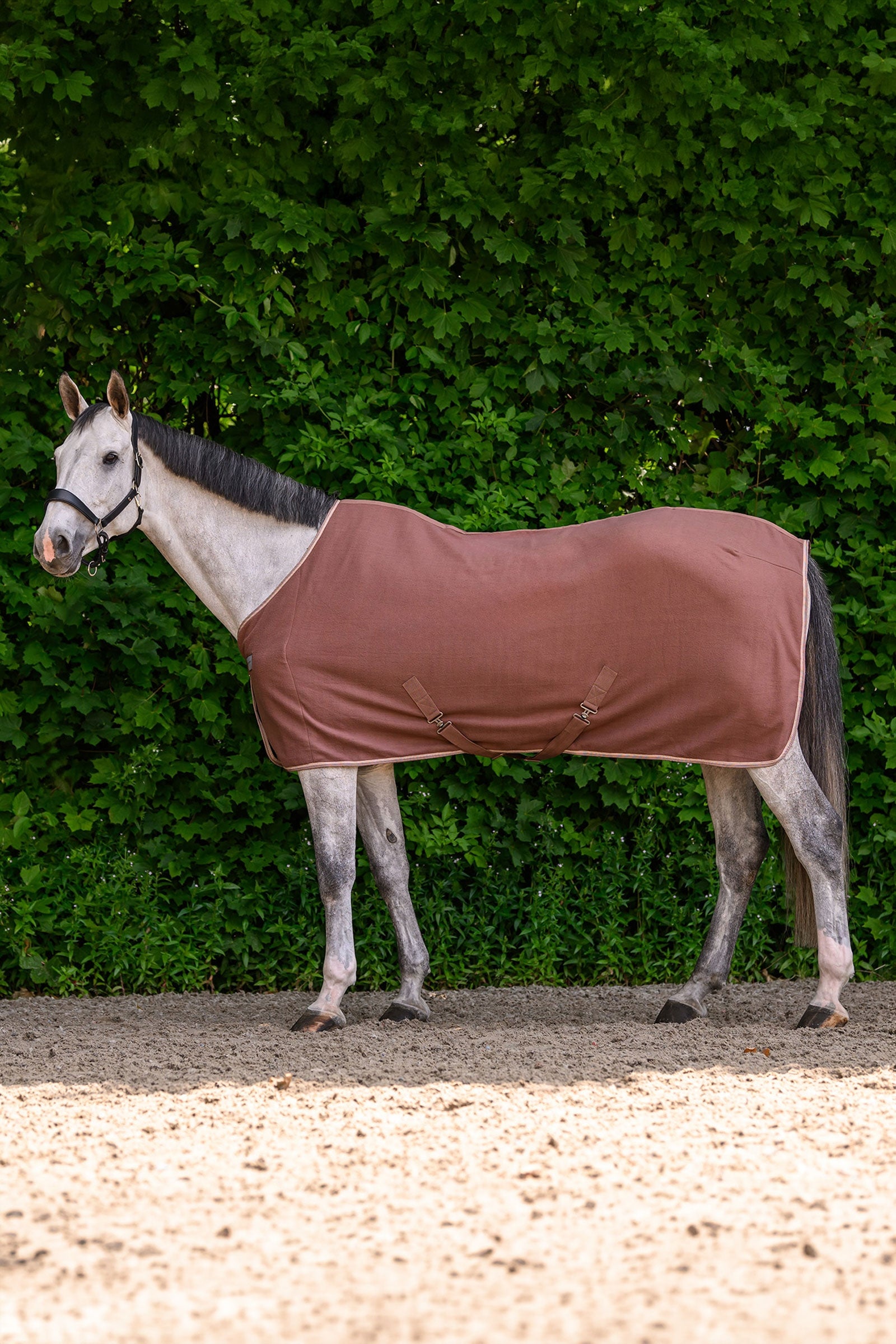 Waldhausen ECONOMIC fleecová deka s křížovým zapínáním Horse Rugs