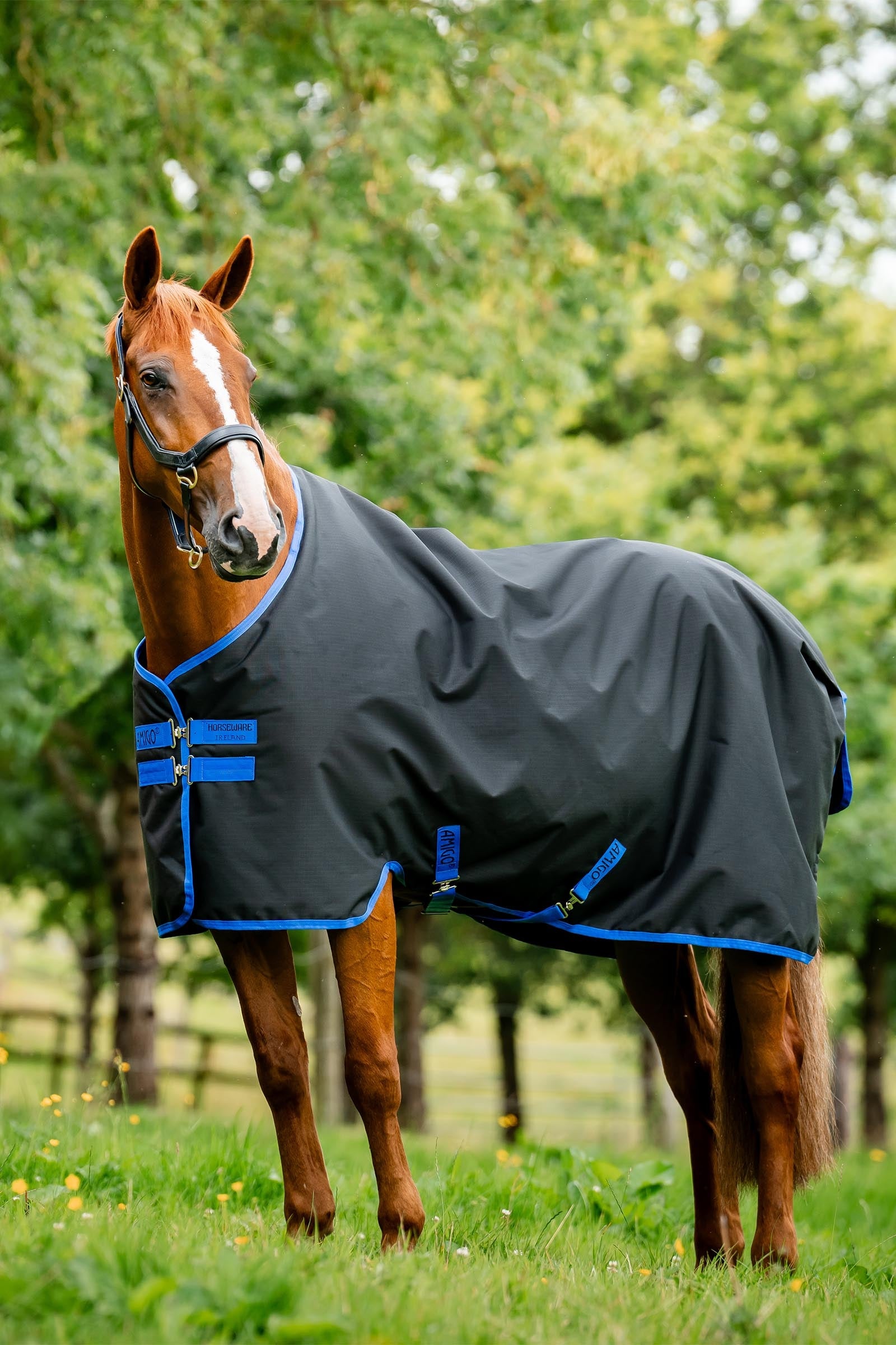 Horseware Amigo Ripstop 900D výběhová deka s fleecovou podšívkou, 50 g Horse Rugs