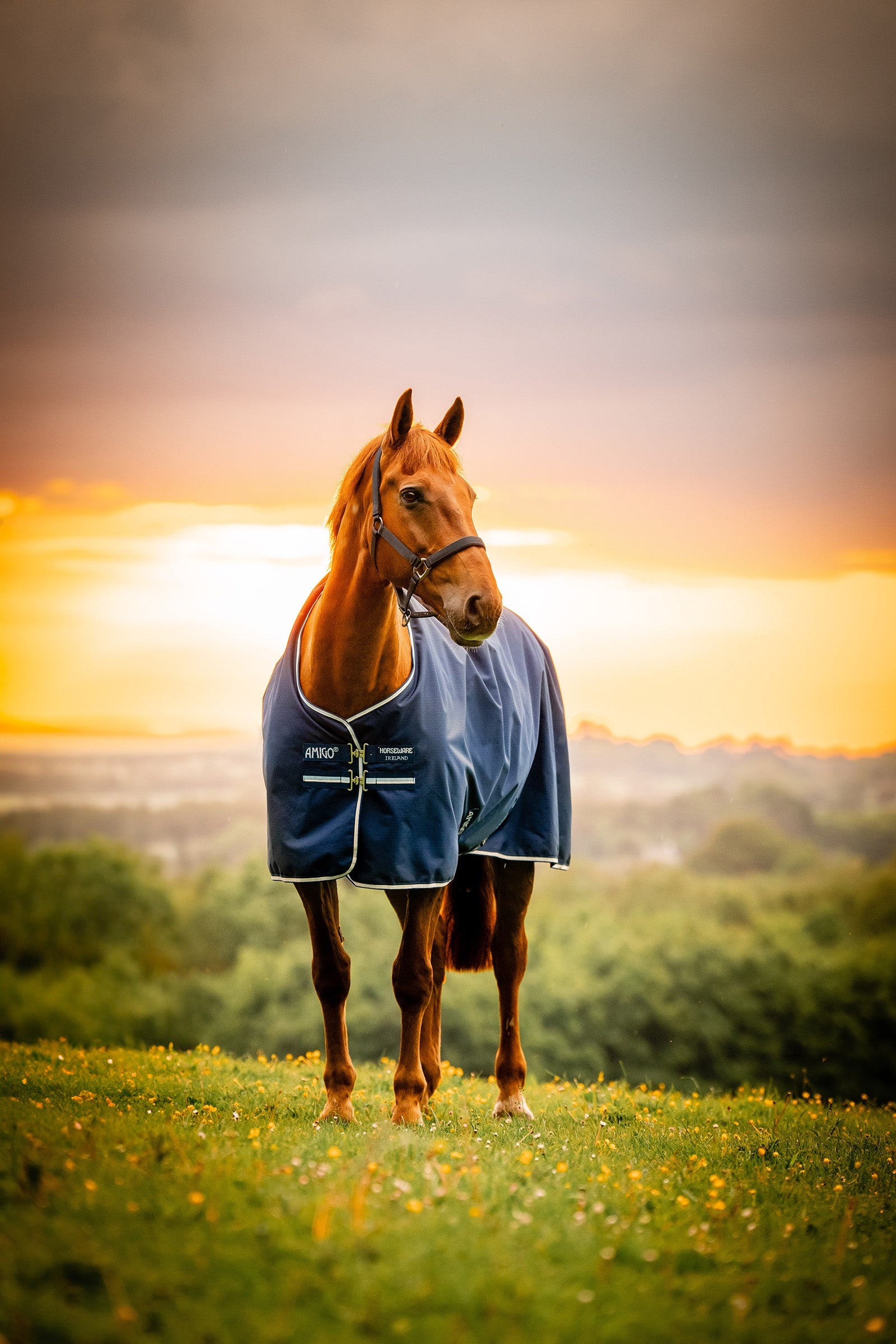 Horseware Amigo Ripstop 900D výběhová deka s fleecovou podšívkou, 50 g Horse Rugs