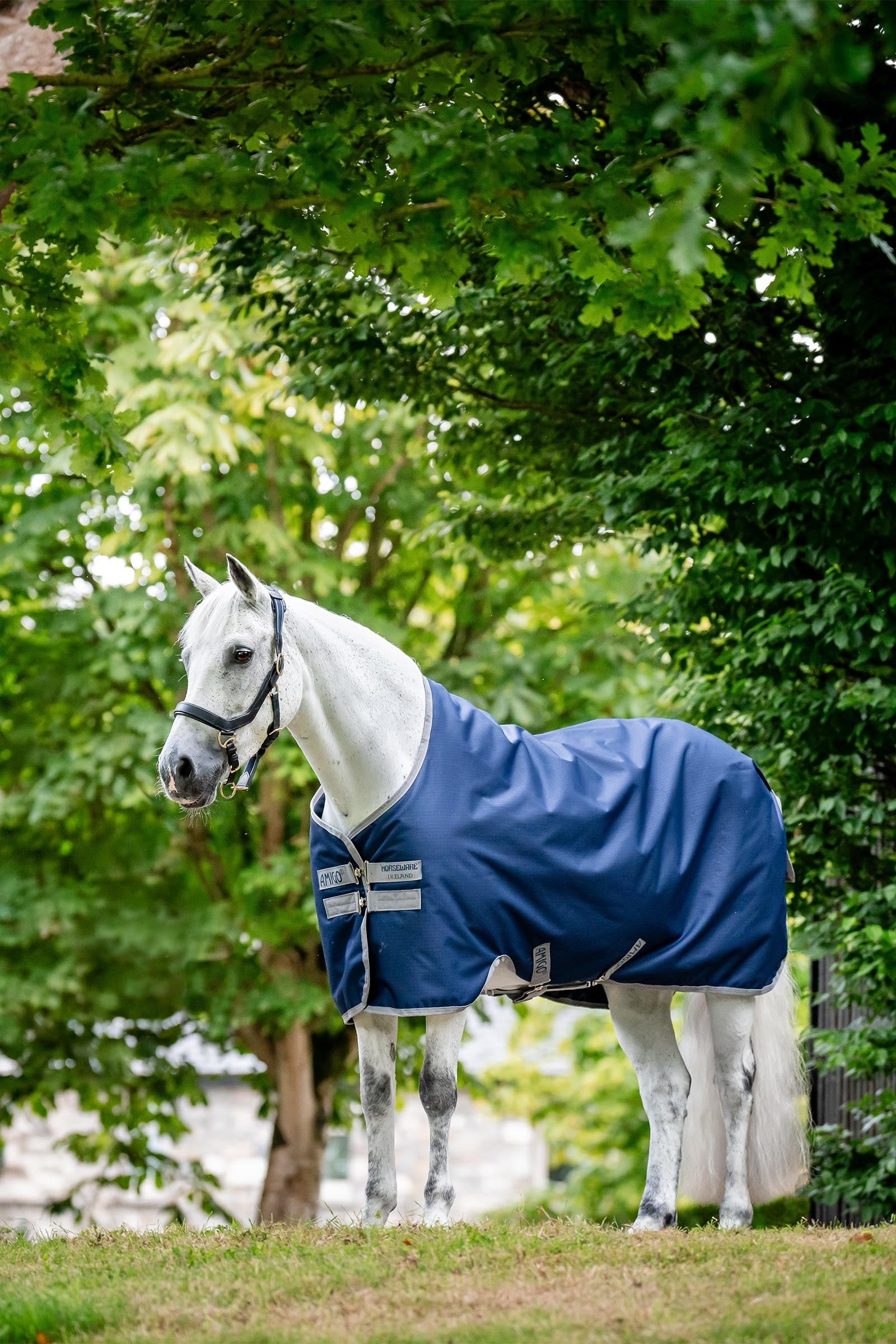 Horseware Amigo Ripstop 900D výběhová deka s fleecovou podšívkou, 50 g Horse Rugs