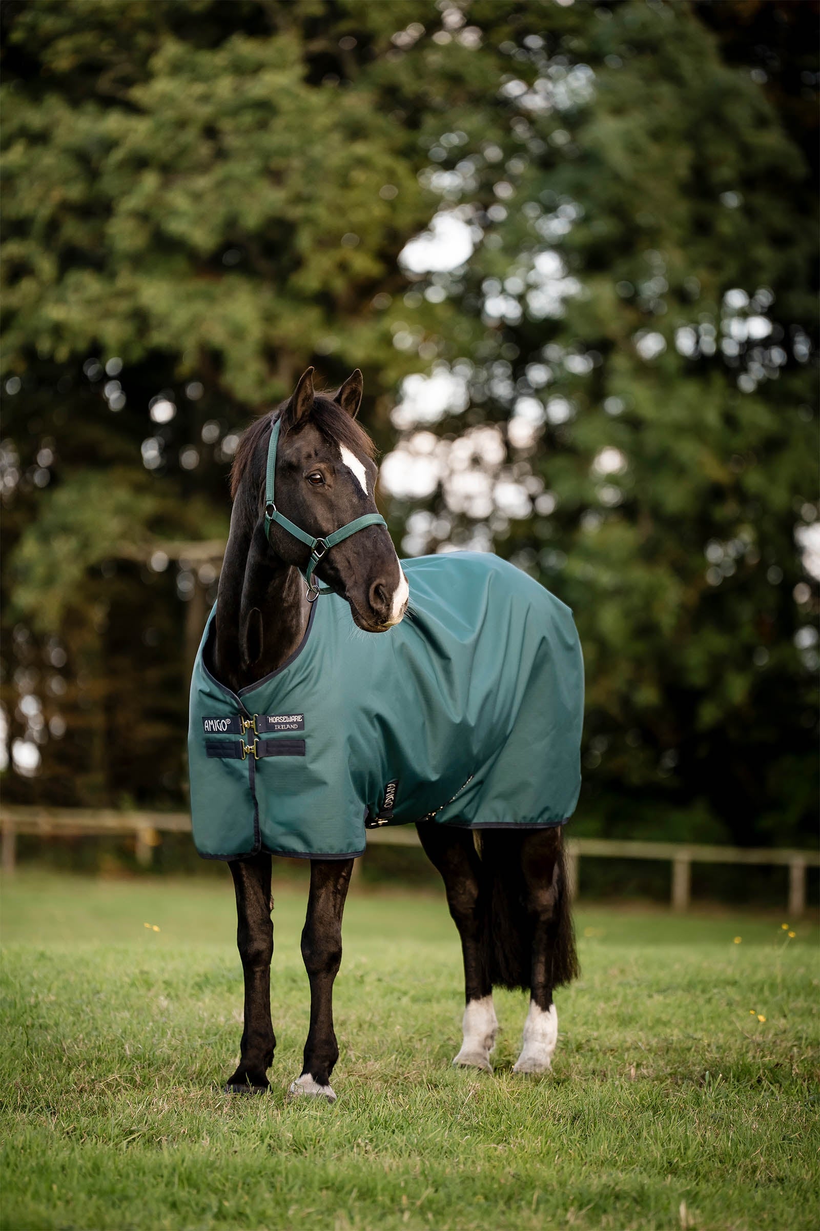 Horseware Amigo Ripstop 900D výběhová deka s fleecovou podšívkou, 50 g Horse Rugs