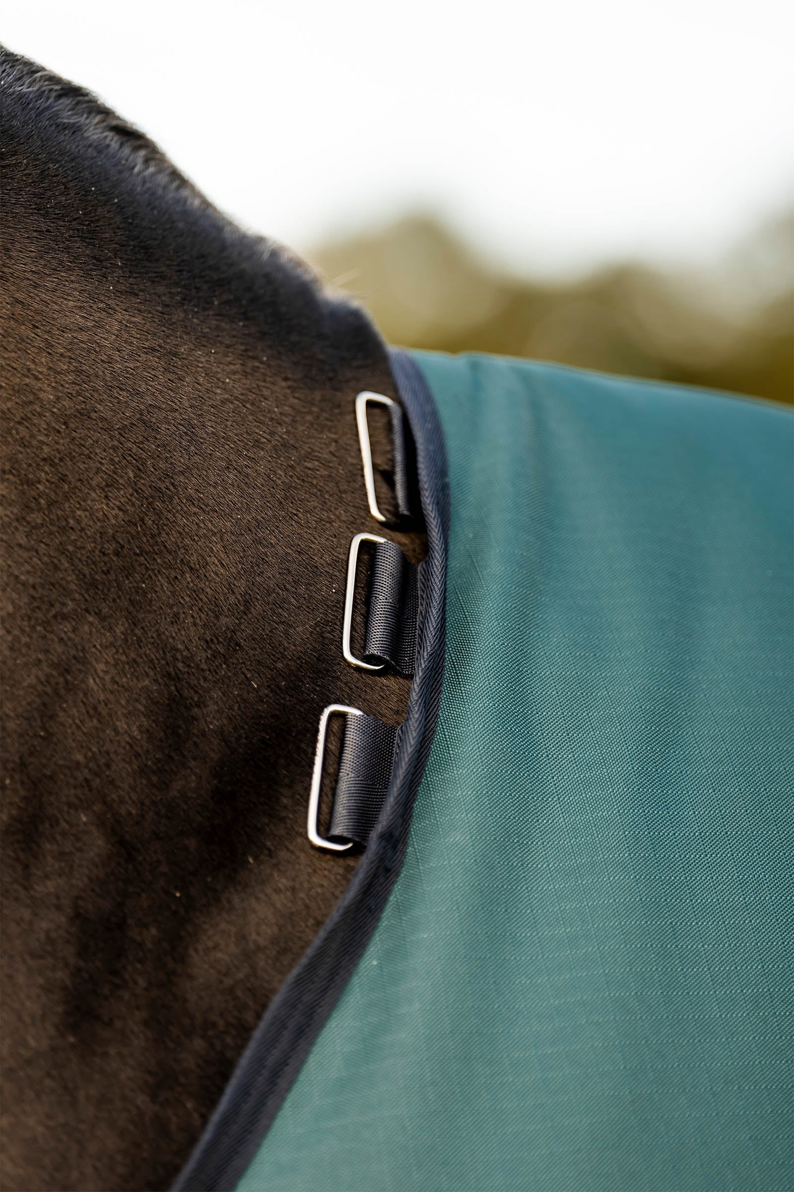 Horseware Amigo Ripstop 900D Fleece Lined Turnout Rug, 50 g Horse Rugs