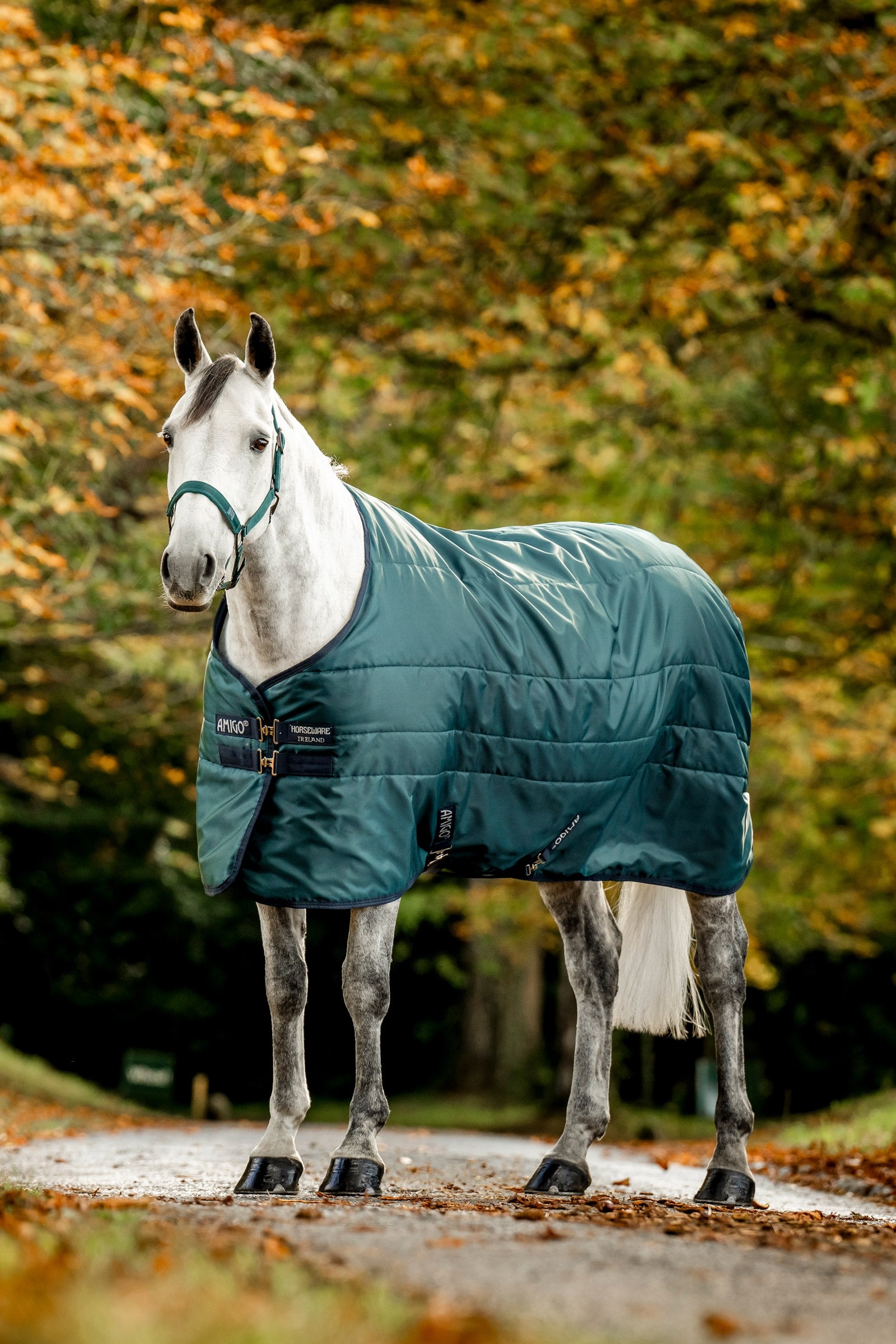 Horseware Amigo Ripstop Insulator Stájový deky, 50g Horse Rugs