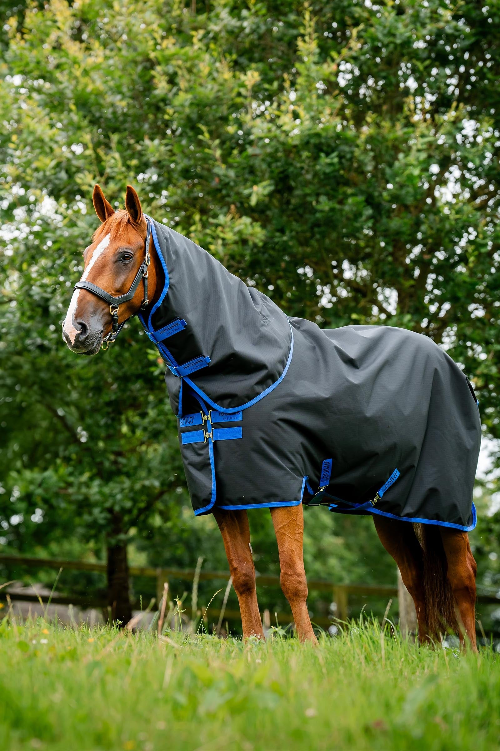 Horseware Amigo Ripstop 900D Plus výběhová deka, 200 g Horse Rugs