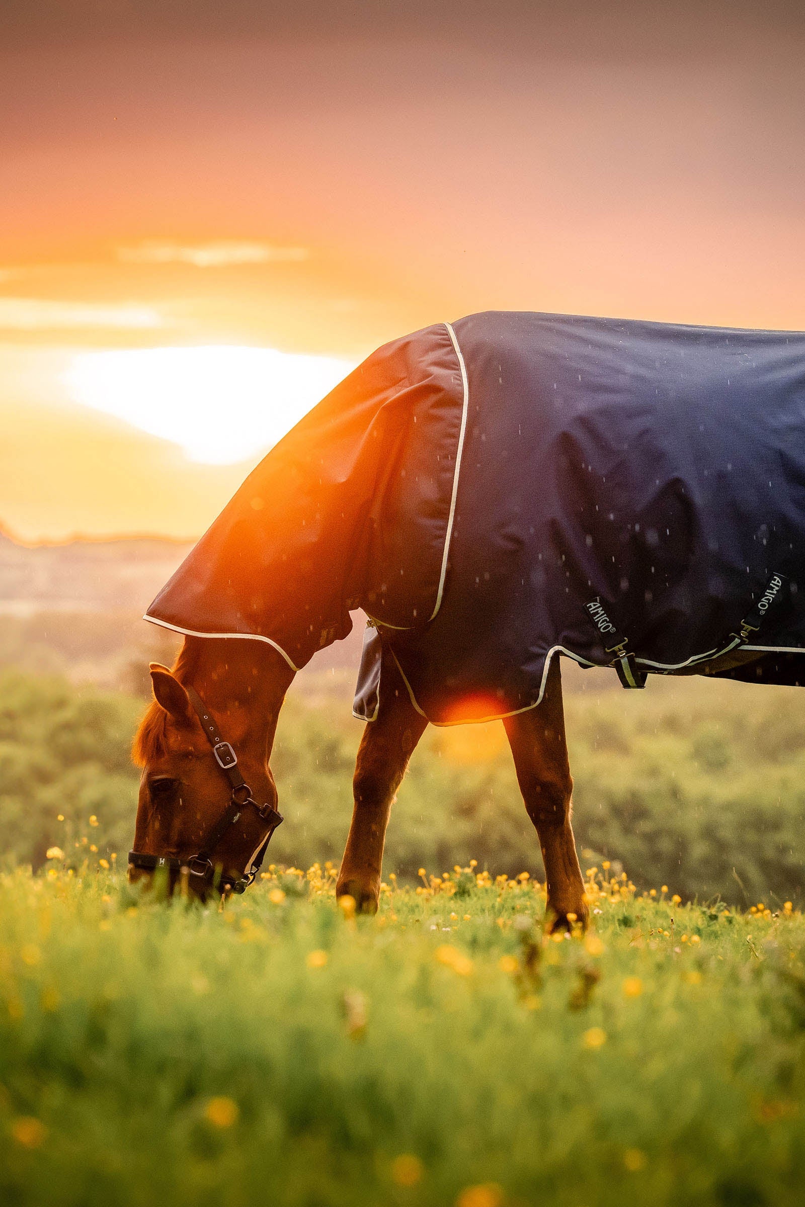 Horseware Amigo Ripstop 900D Plus výběhová deka, 200 g Horse Rugs