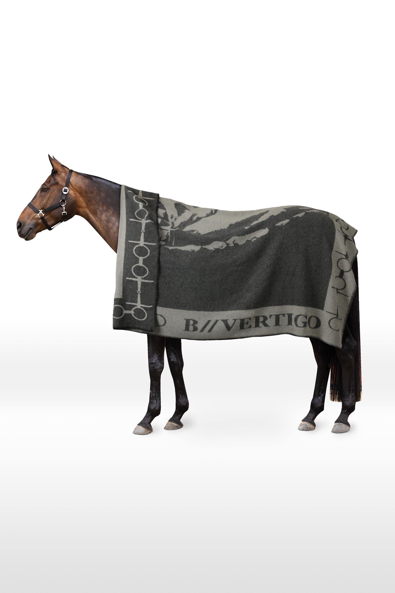 B Vertigo Dekorativní deka s potiskem koně a udidla Horse Rugs